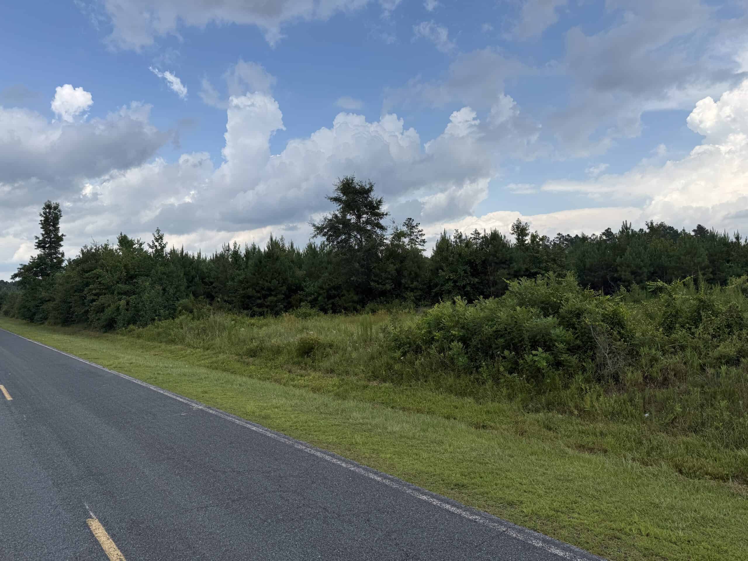 115 Acres of Hunting & Timberland for Sale in NC
