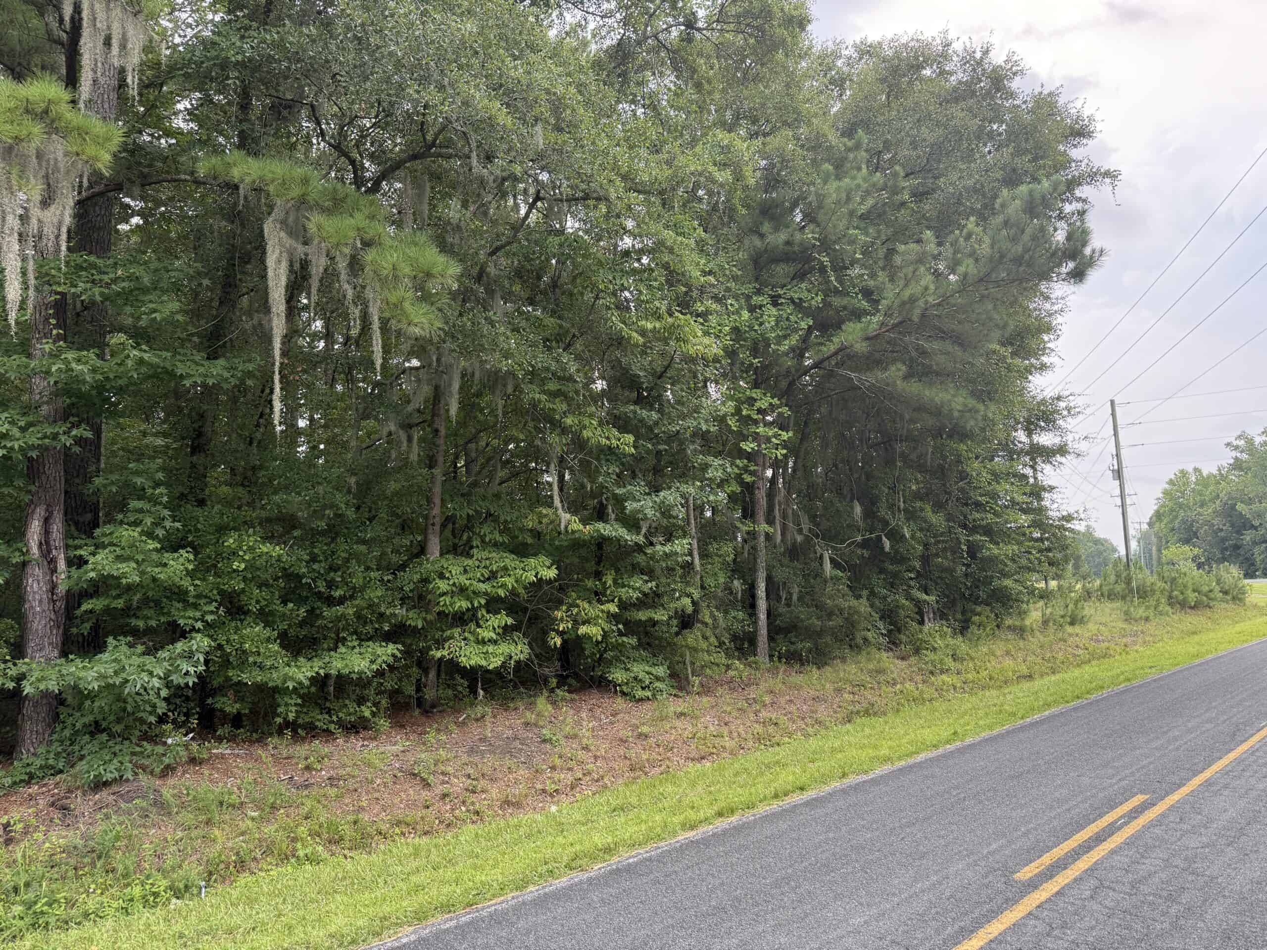 115 Acres of Hunting & Timberland for Sale in NC