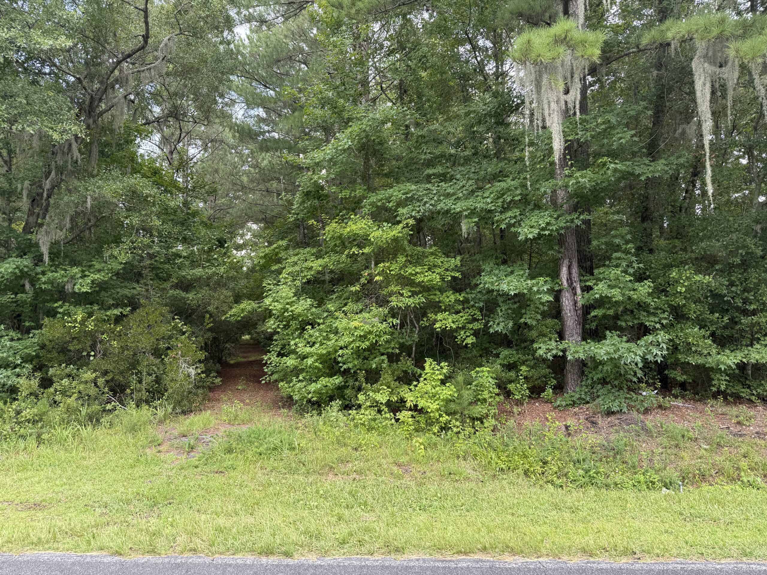 115 Acres of Hunting & Timberland for Sale in NC