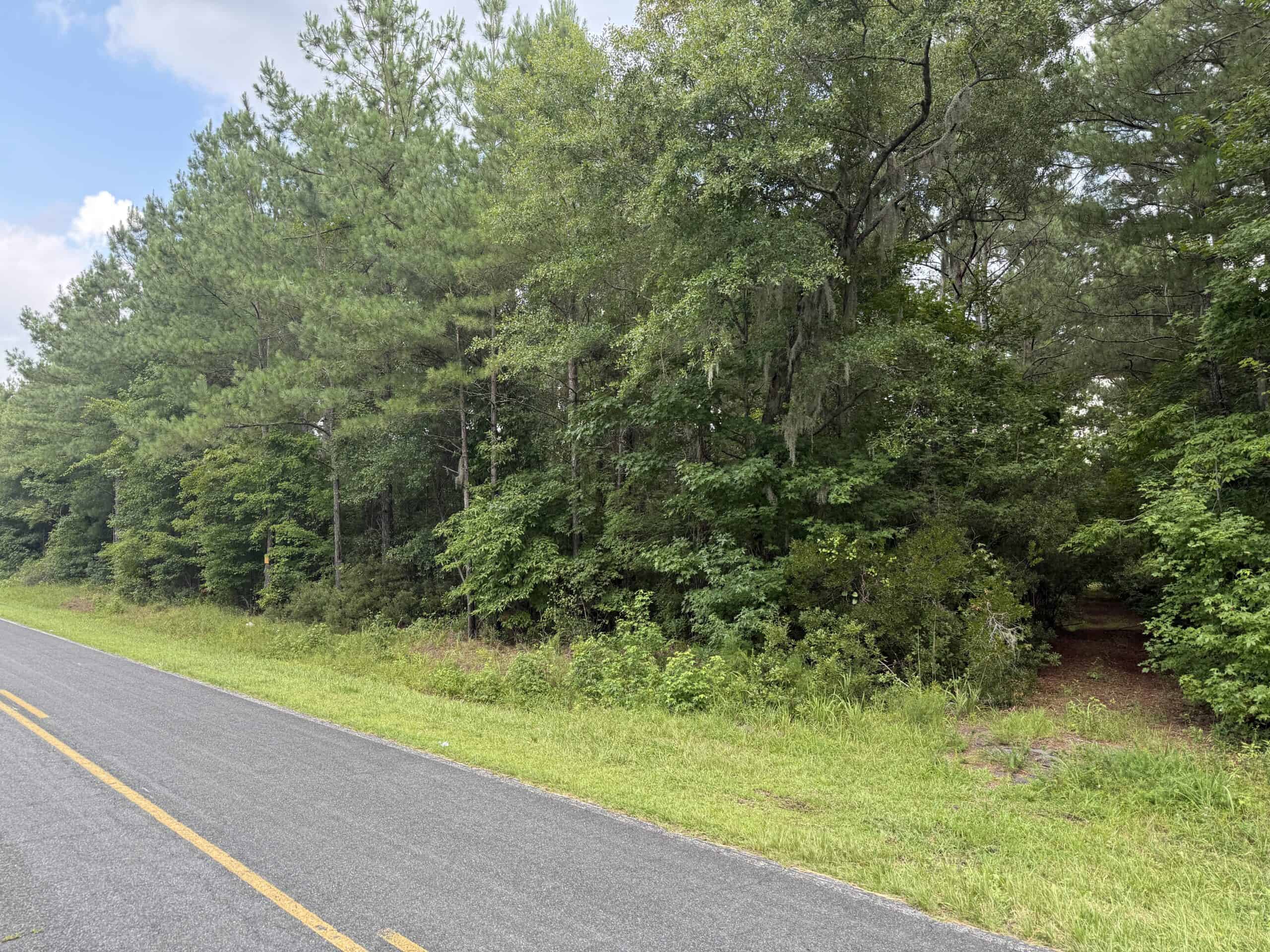 115 Acres of Hunting & Timberland for Sale in NC