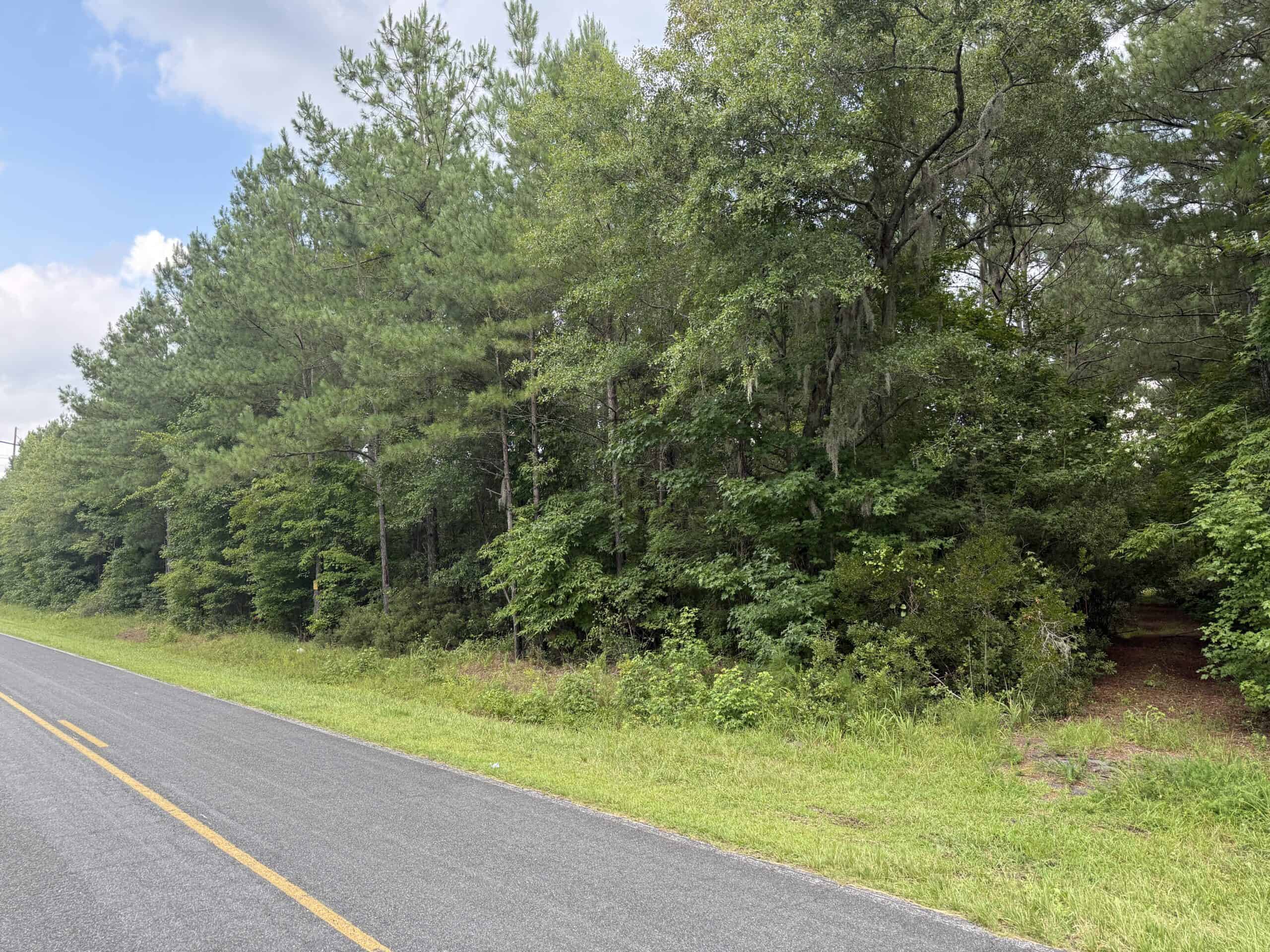 115 Acres of Hunting & Timberland for Sale in NC