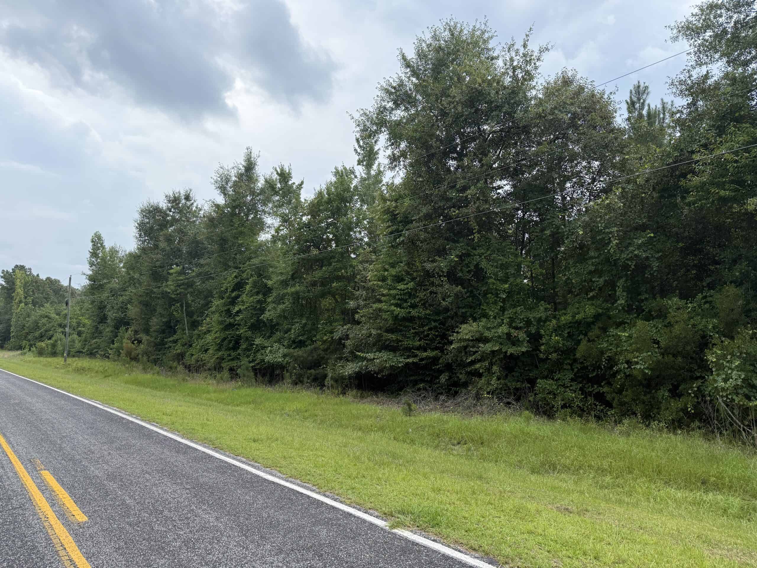 153-Acre Timberland for Sale in Edward, NC