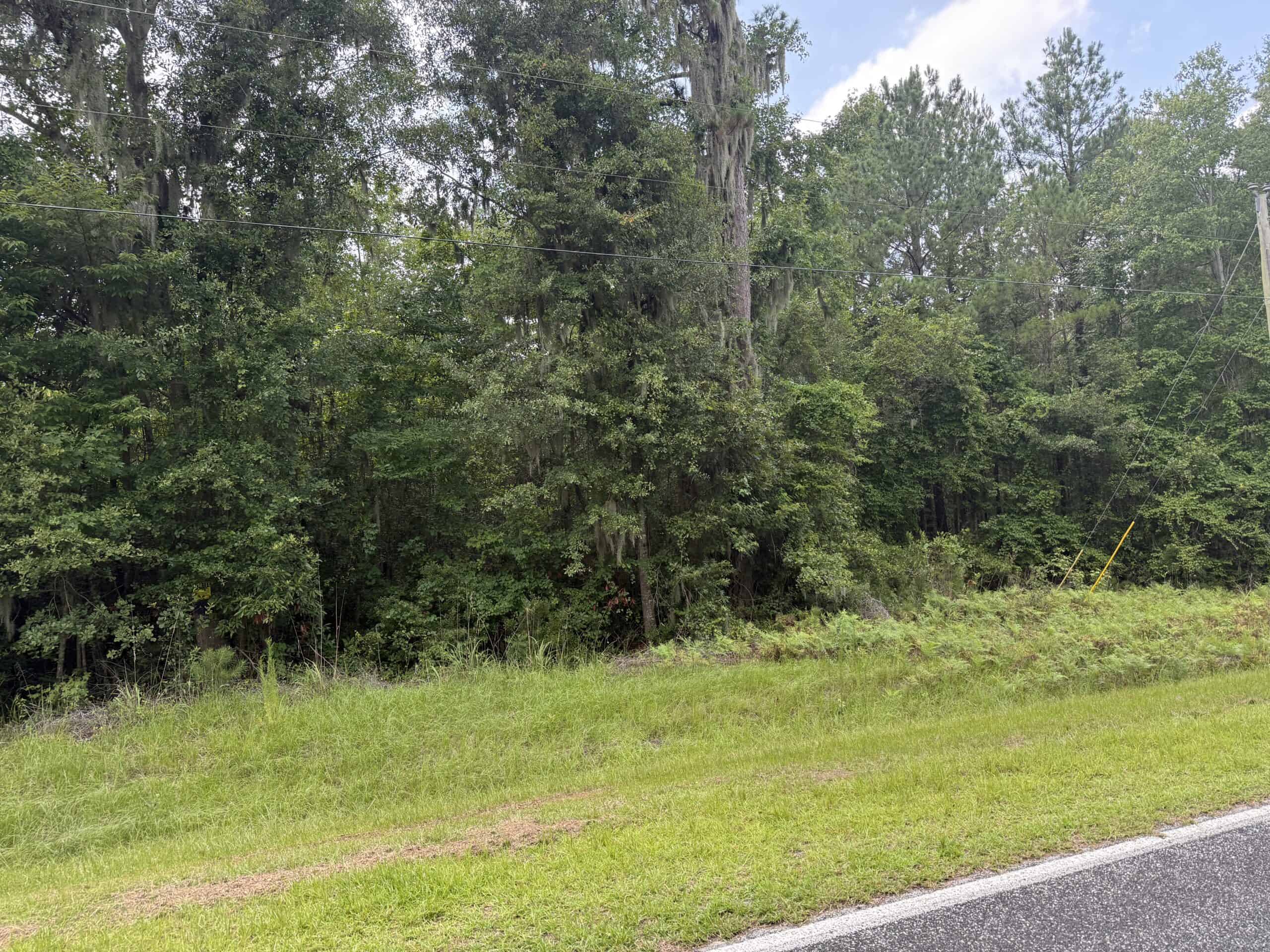 153-Acre Timberland for Sale in Edward, NC
