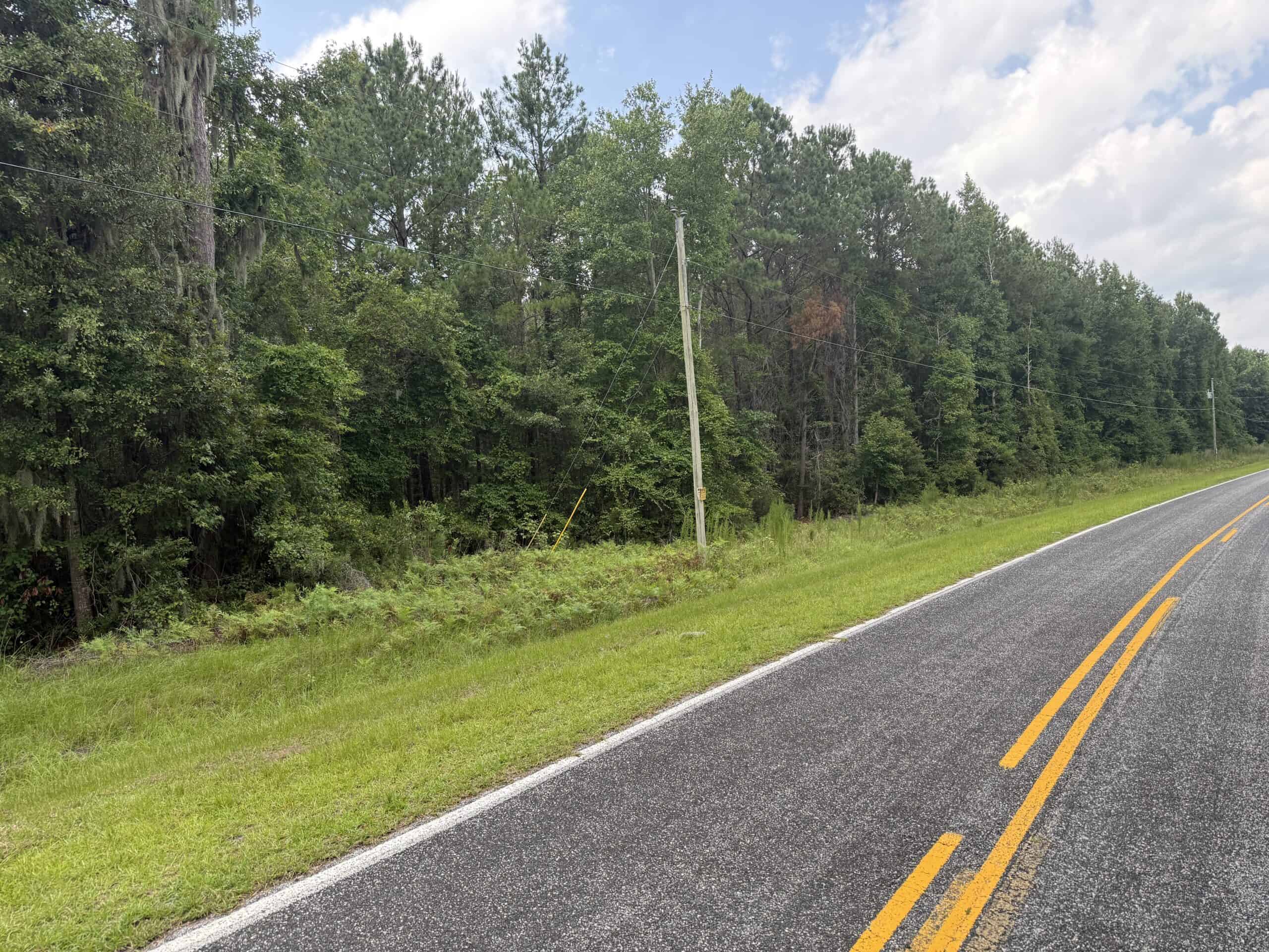 153-Acre Timberland for Sale in Edward, NC