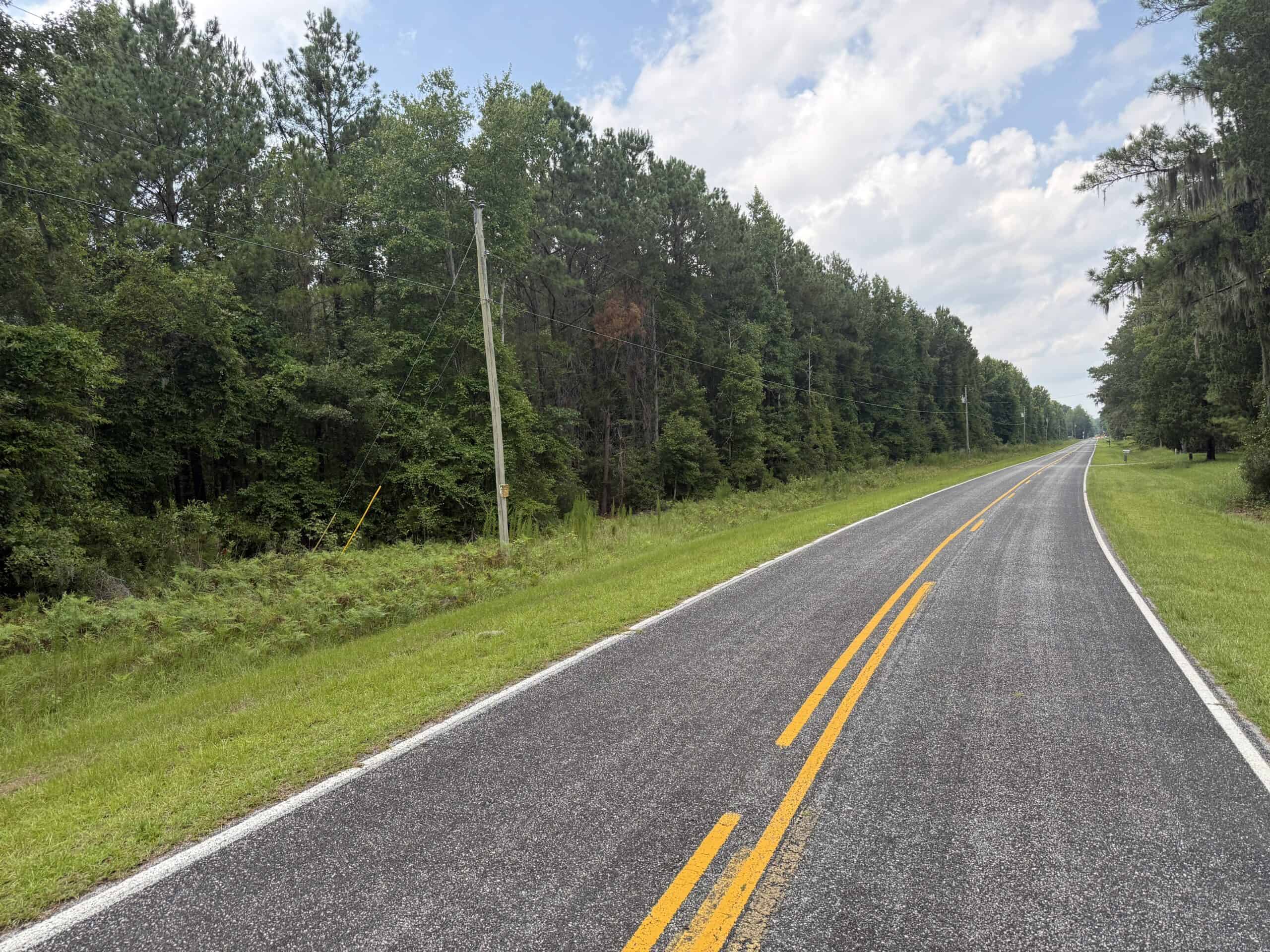 153-Acre Timberland for Sale in Edward, NC