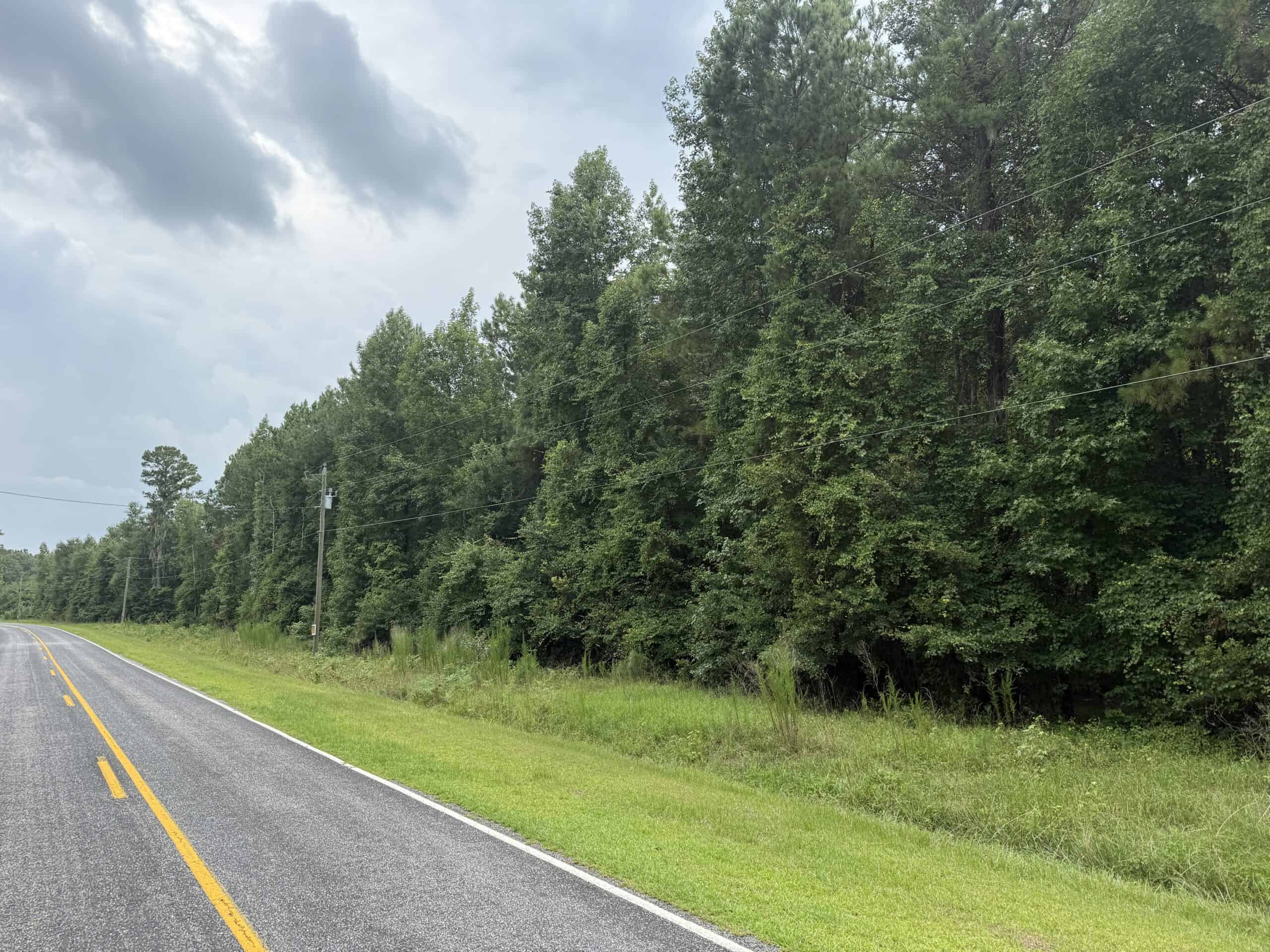153-Acre Timberland for Sale in Edward, NC