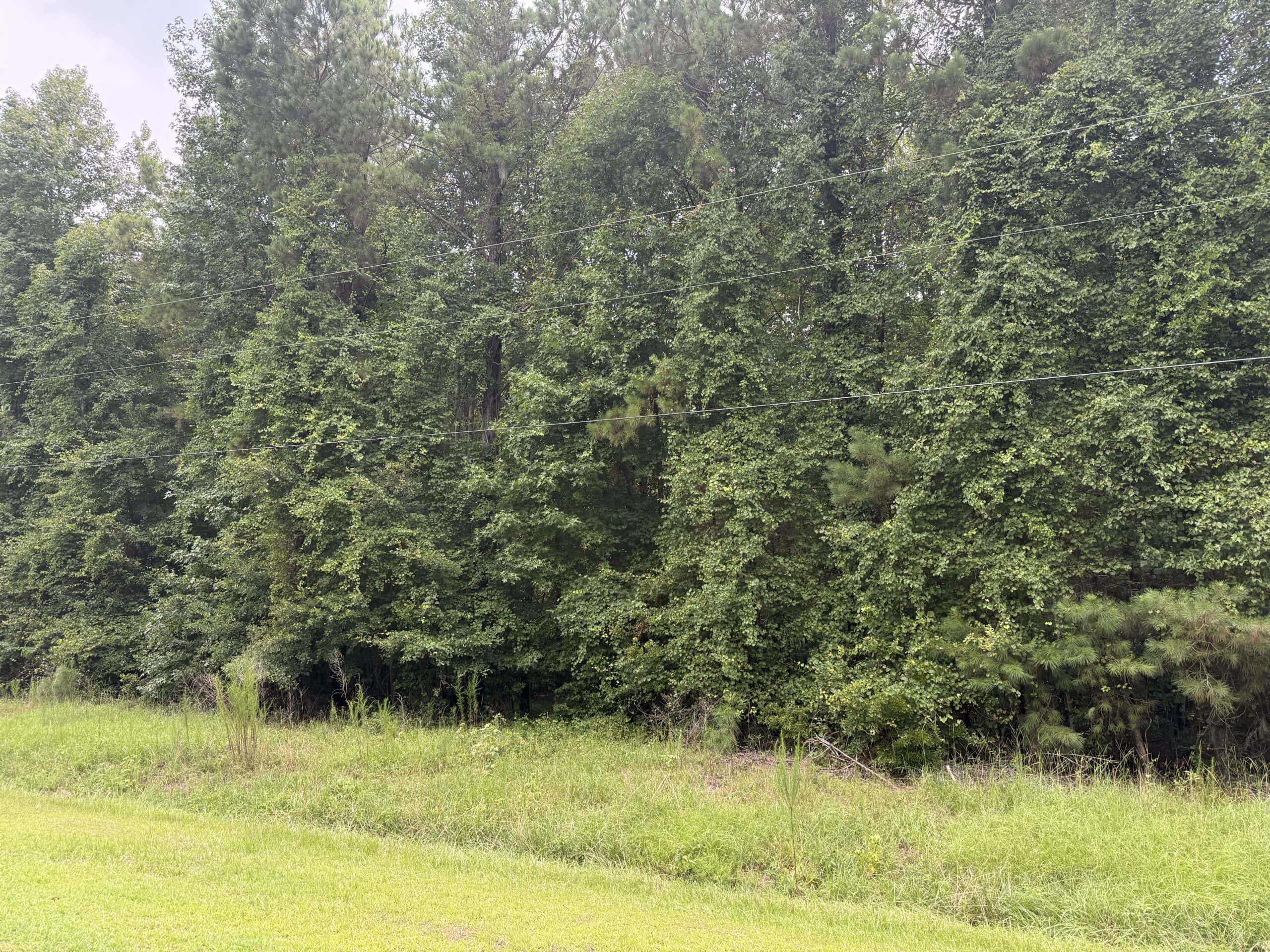 153-Acre Timberland for Sale in Edward, NC