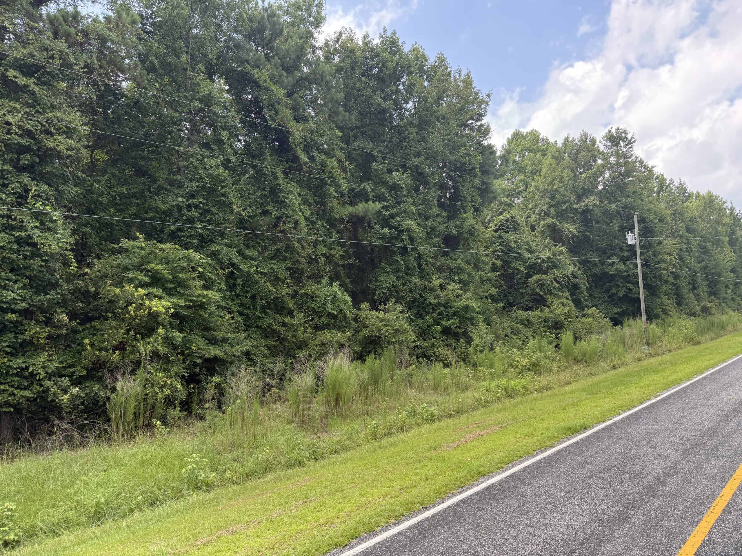 153-Acre Timberland for Sale in Edward, NC