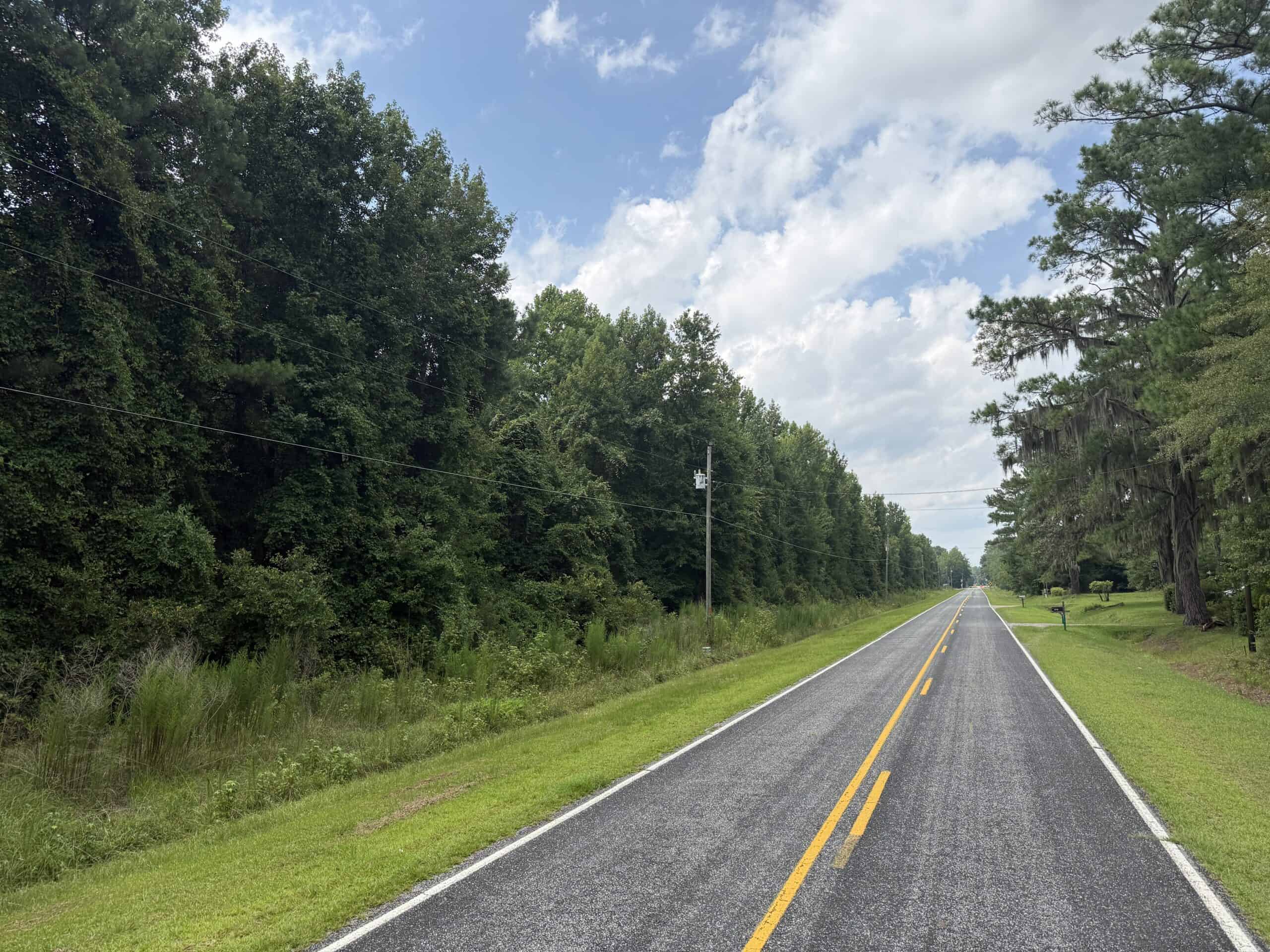 153-Acre Timberland for Sale in Edward, NC