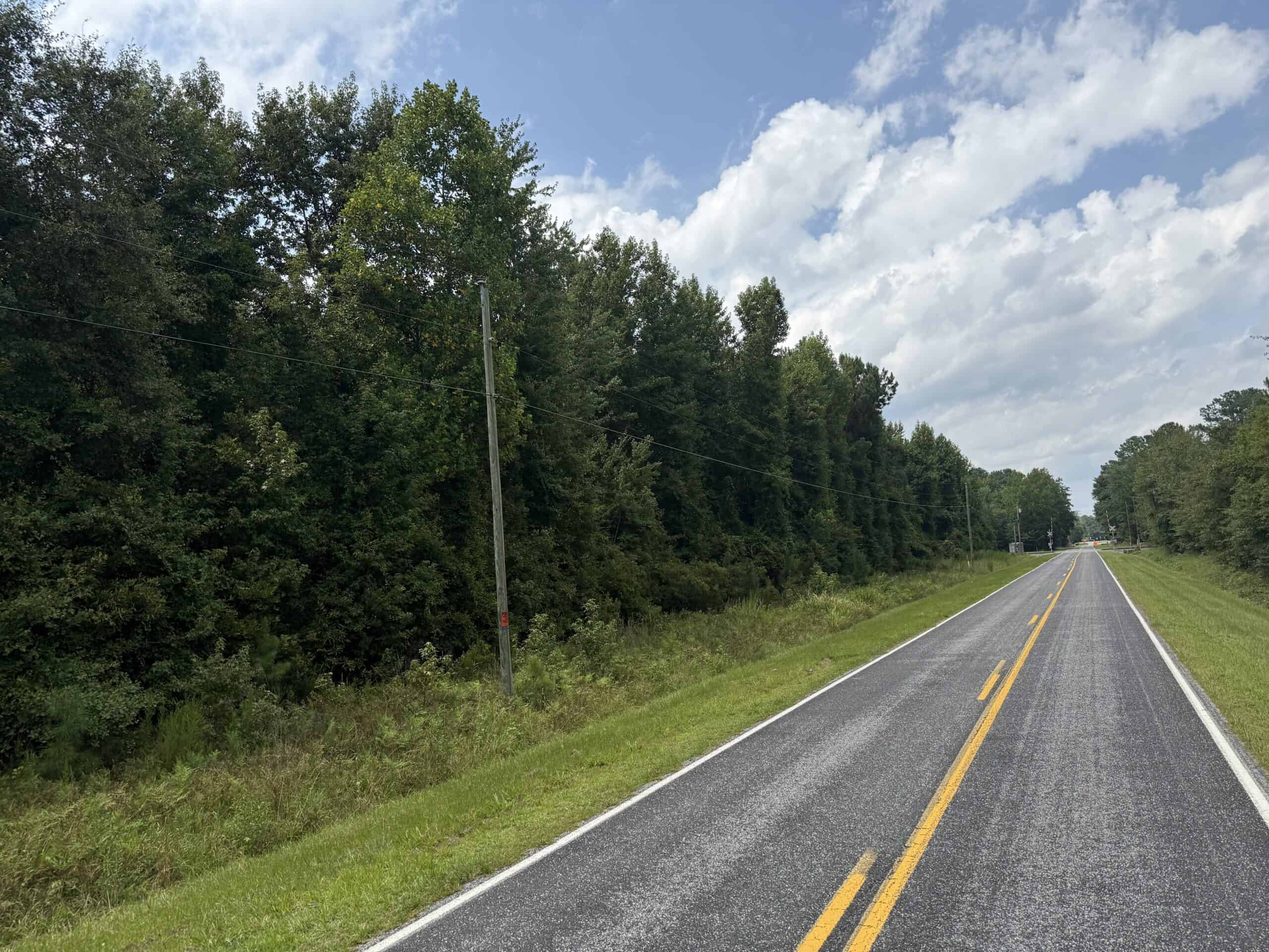 153-Acre Timberland for Sale in Edward, NC