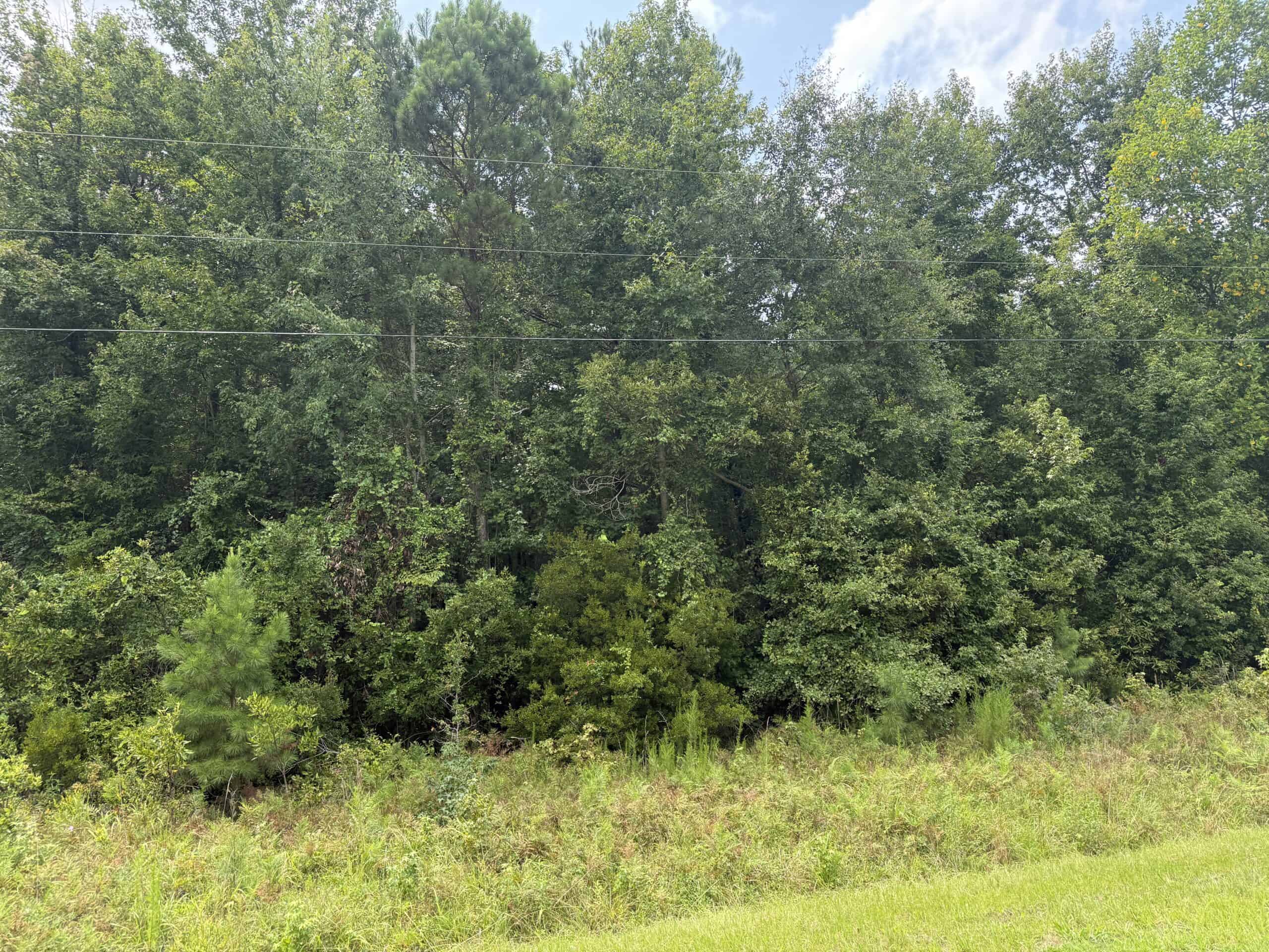 153-Acre Timberland for Sale in Edward, NC