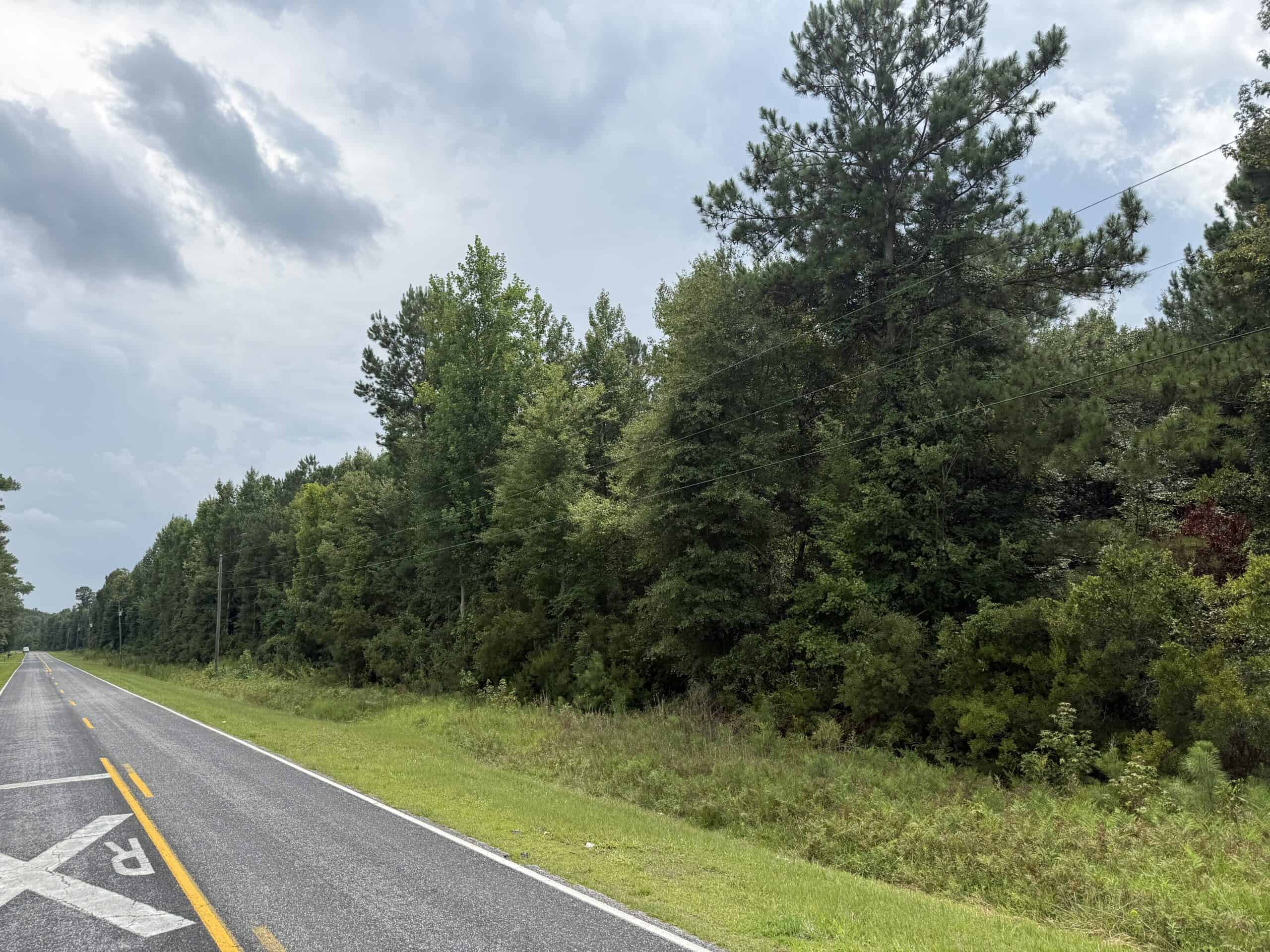 153-Acre Timberland for Sale in Edward, NC