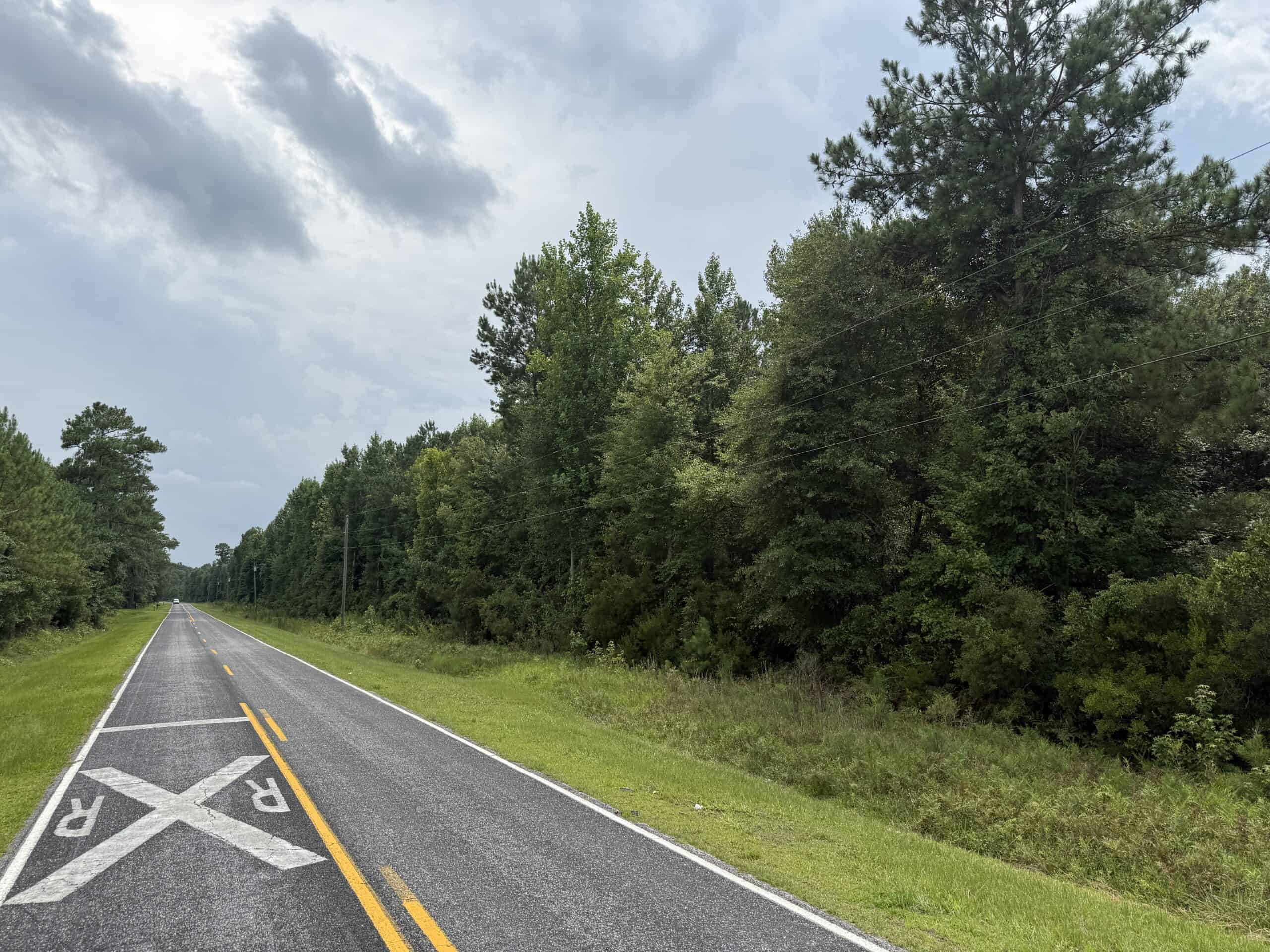 153-Acre Timberland for Sale in Edward, NC