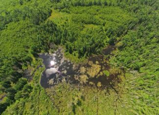 58.8 Wooded Acres with Pond – Pittsfield, Maine