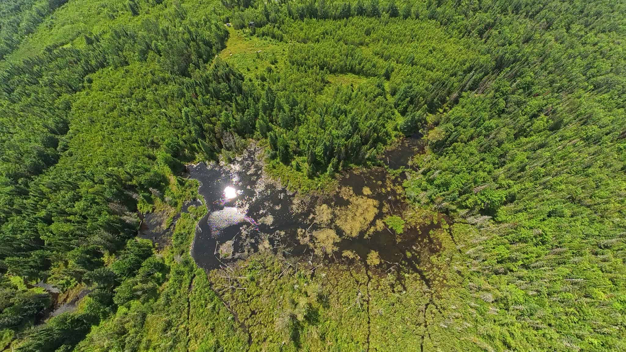 58.8 Wooded Acres with Pond – Pittsfield, Maine
