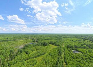 58.8 Wooded Acres with Pond – Pittsfield, Maine
