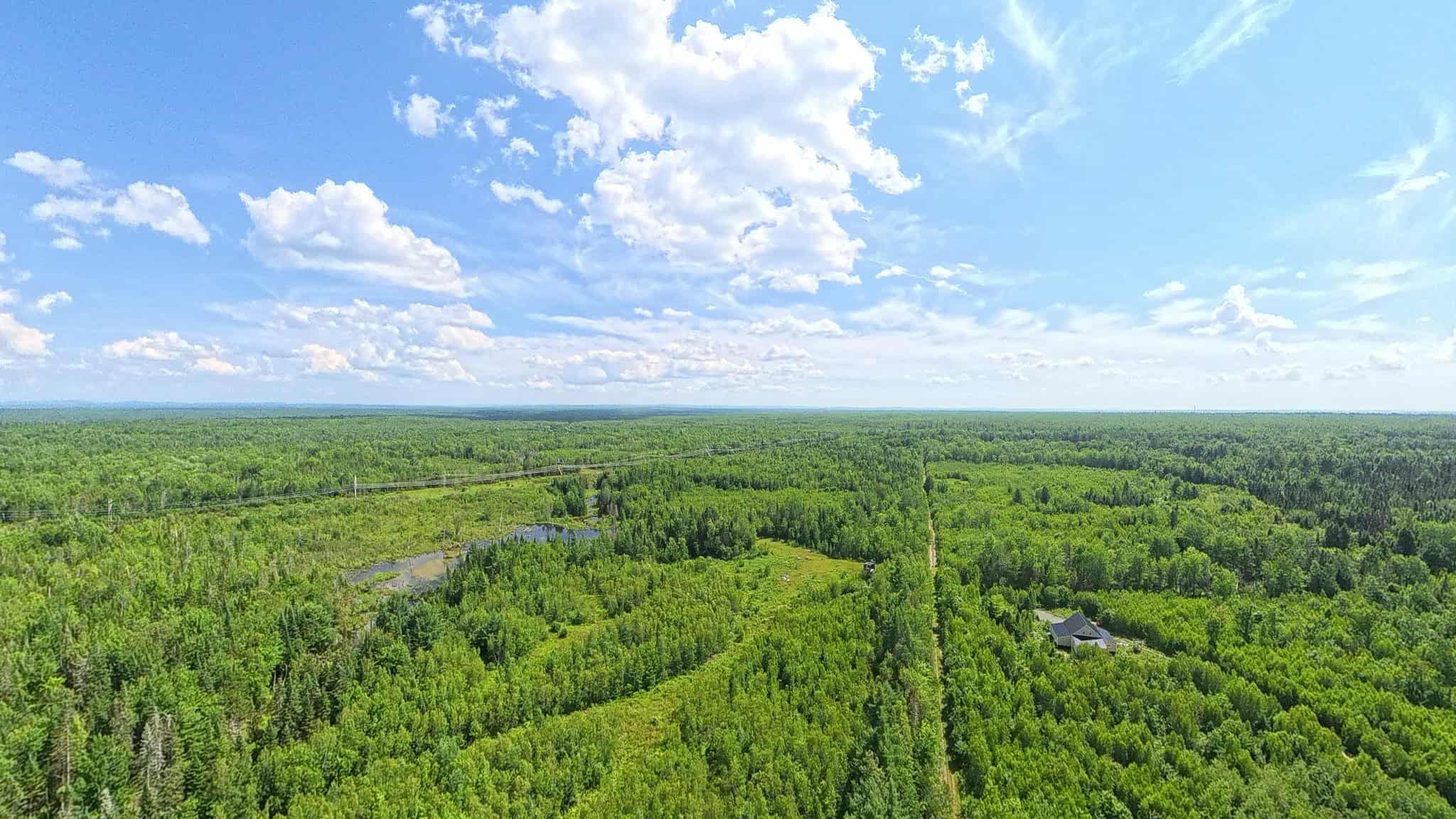 58.8 Wooded Acres with Pond – Pittsfield, Maine