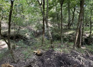 130 acres Hunting Property – Hopkins County TX