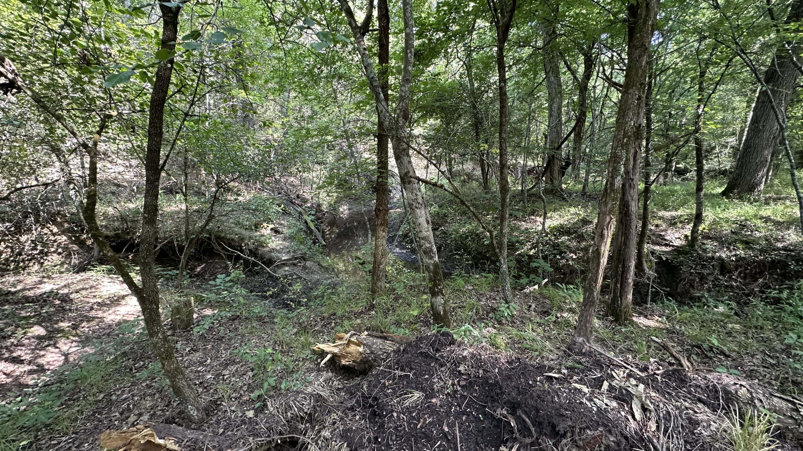 130 acres Hunting Property – Hopkins County TX