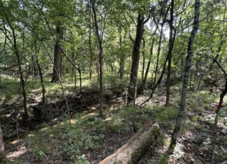 130 acres Hunting Property – Hopkins County TX