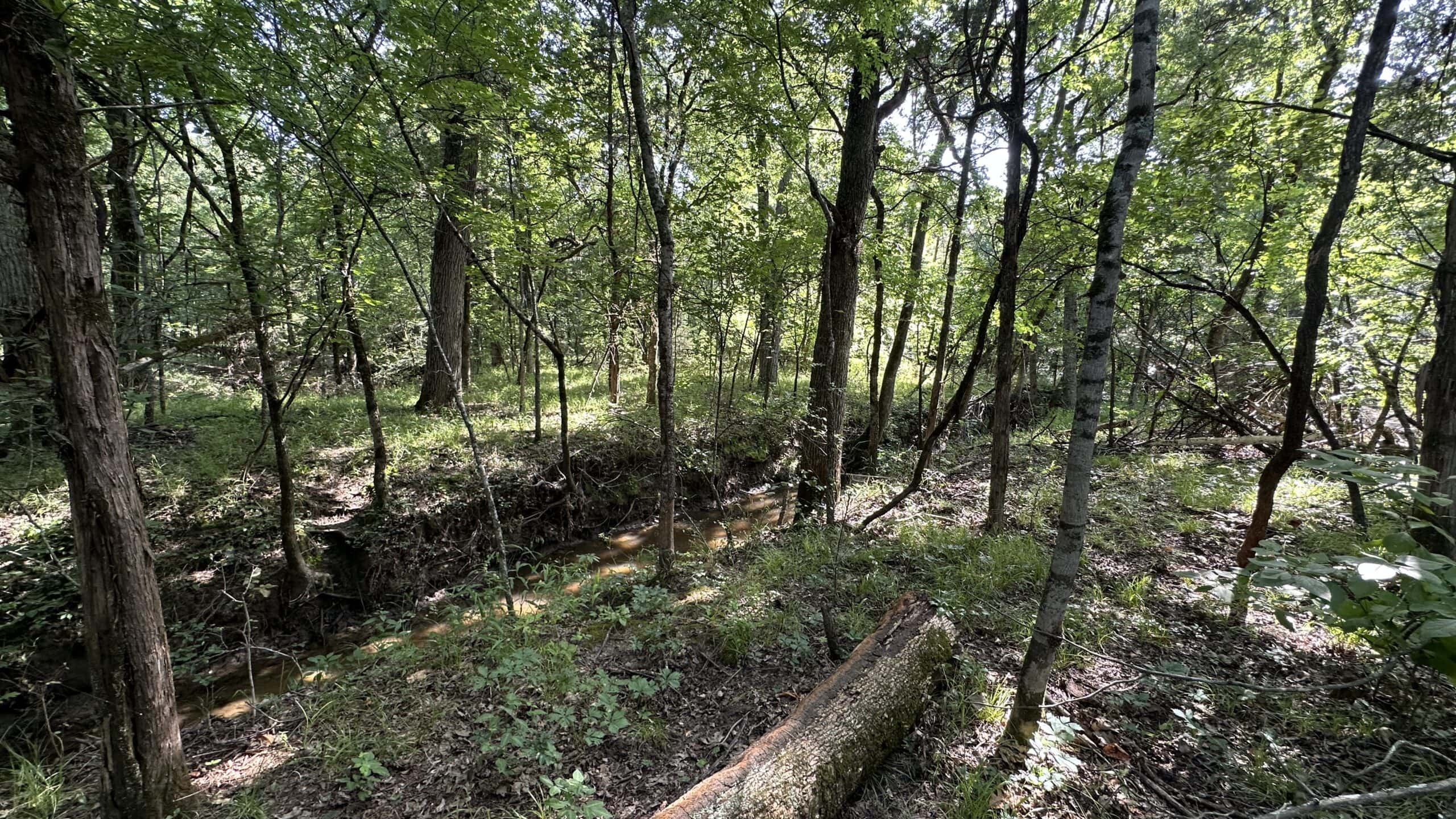 130 acres Hunting Property – Hopkins County TX