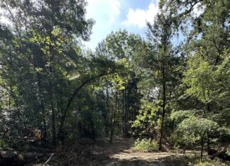 130 acres Hunting Property – Hopkins County TX