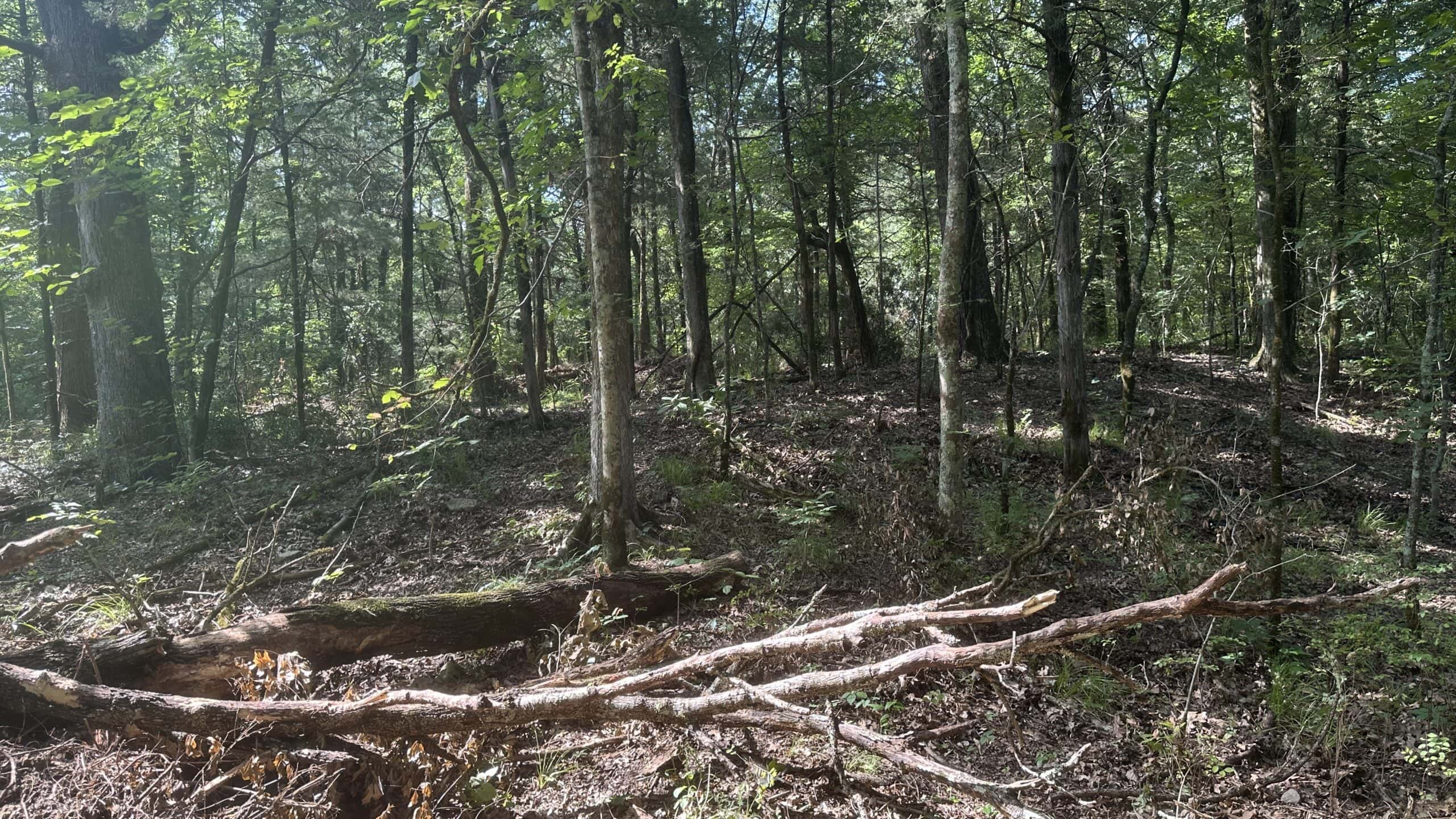130 acres Hunting Property – Hopkins County TX