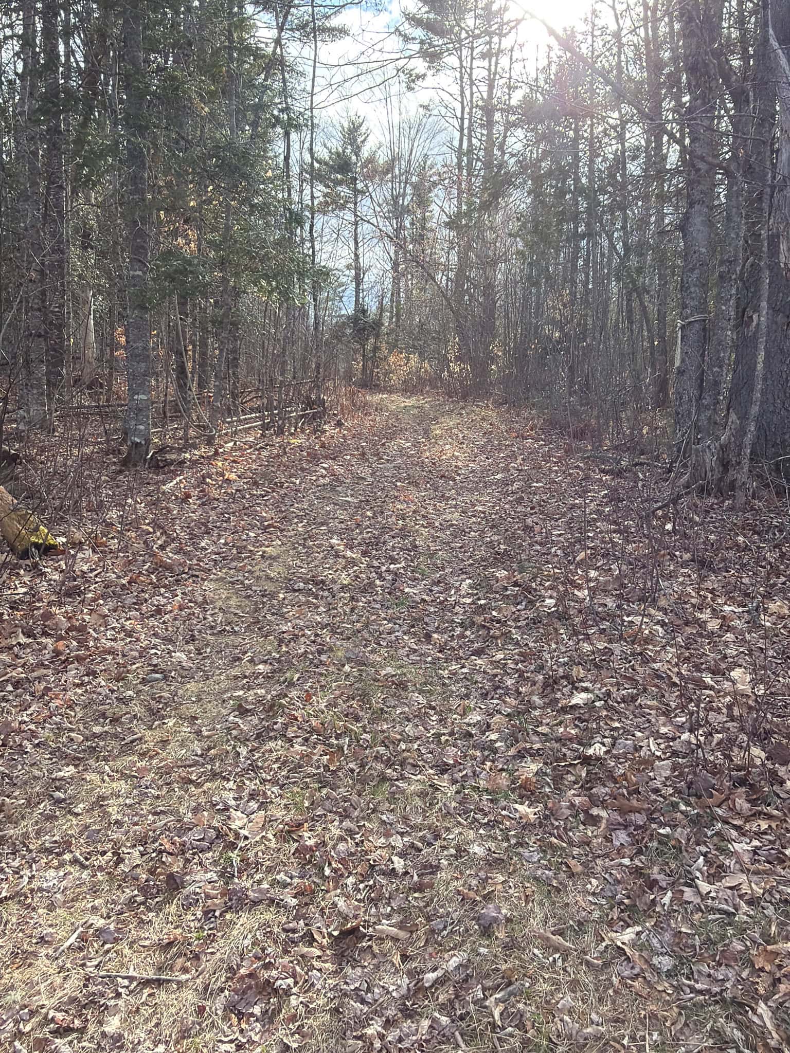 90 Acre Parcel with Potential – Corinth, Maine