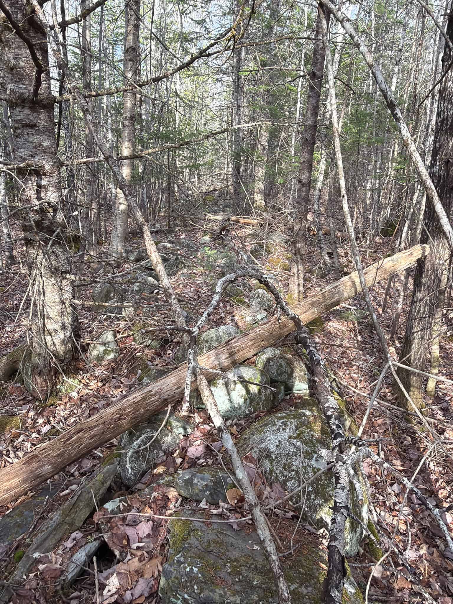 90 Acre Parcel with Potential – Corinth, Maine