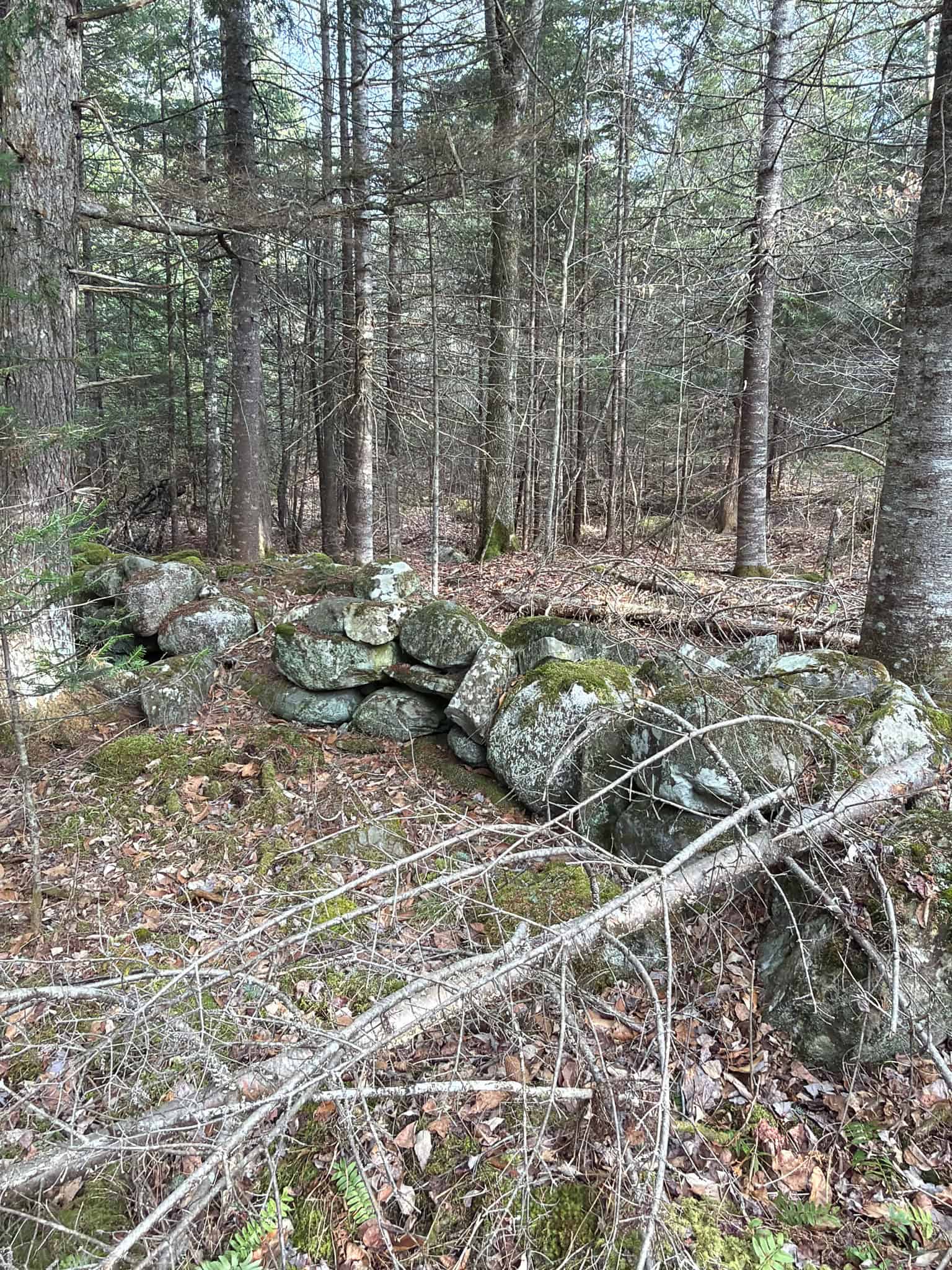 90 Acre Parcel with Potential – Corinth, Maine