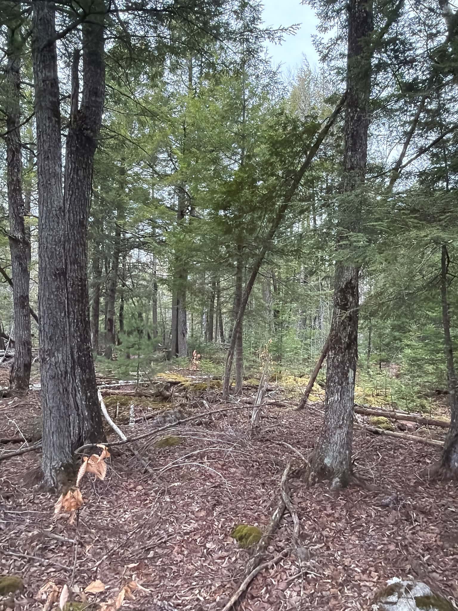 90 Acre Parcel with Potential – Corinth, Maine