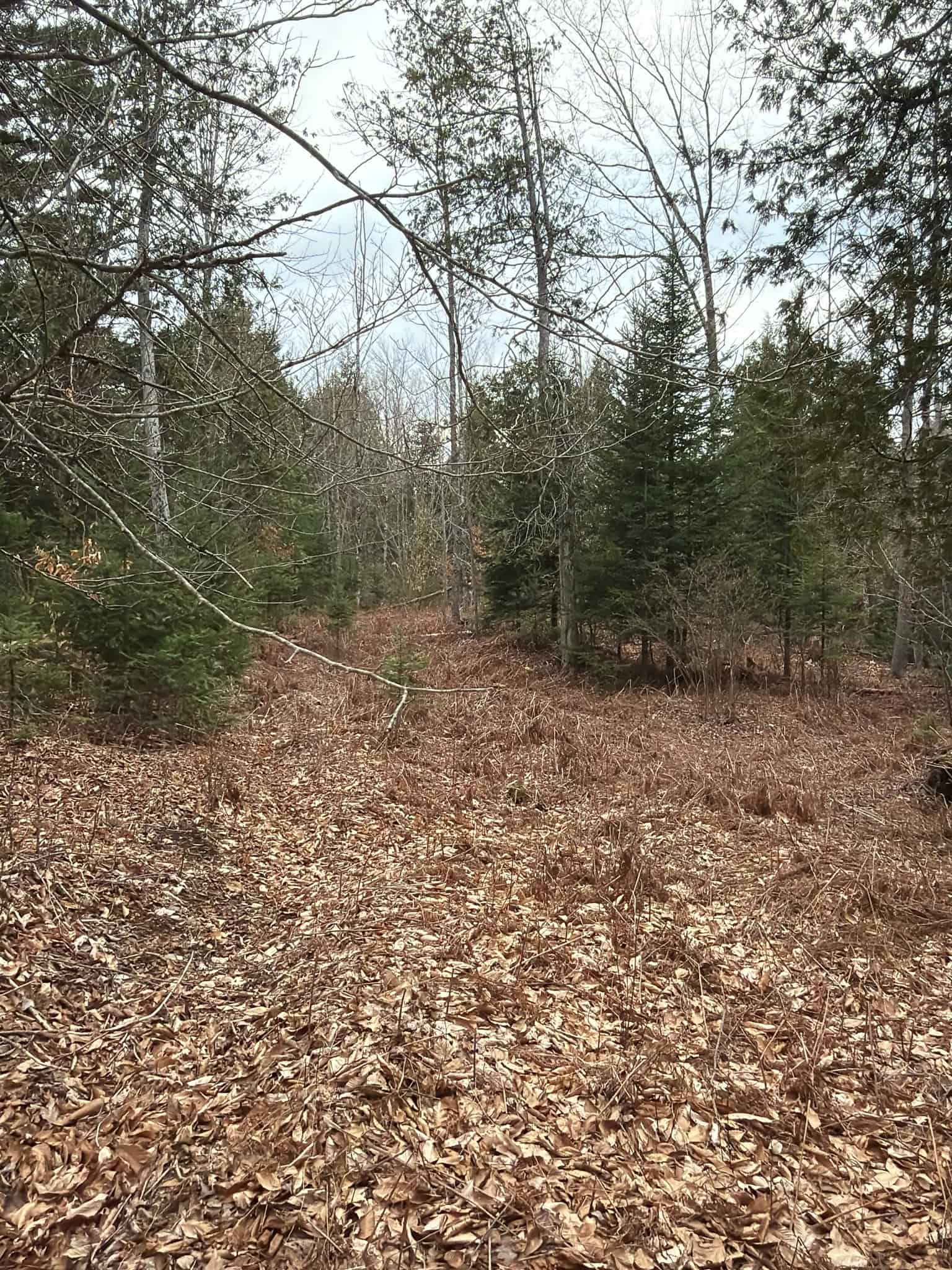 90 Acre Parcel with Potential – Corinth, Maine