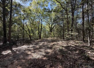 HUNTING LAND FOR SALE IN NORTH CENTRAL ARKANSAS