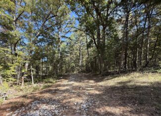 HUNTING LAND FOR SALE IN NORTH CENTRAL ARKANSAS