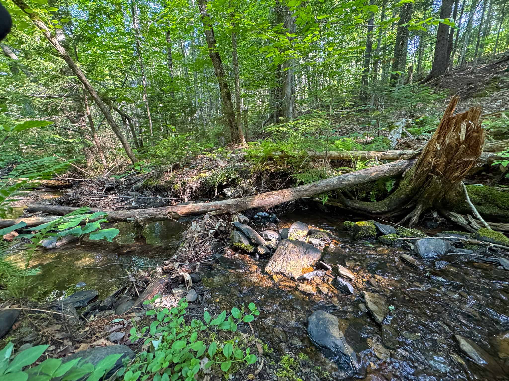 Escape to Maine: Off-Grid Solar Cabin on 45 Acres with Brook