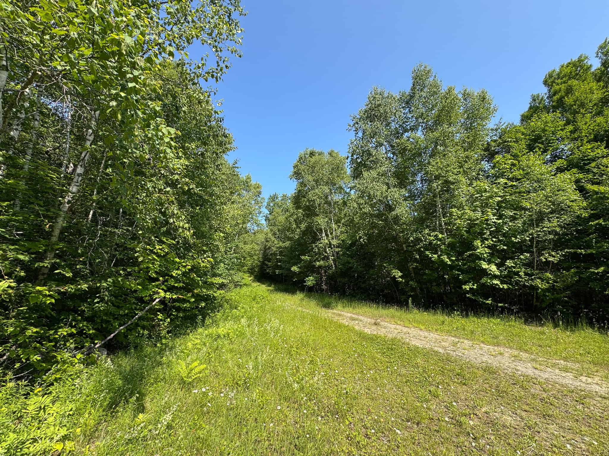 80 Acres of Maine Land Bordering 900 Acres of Public Land