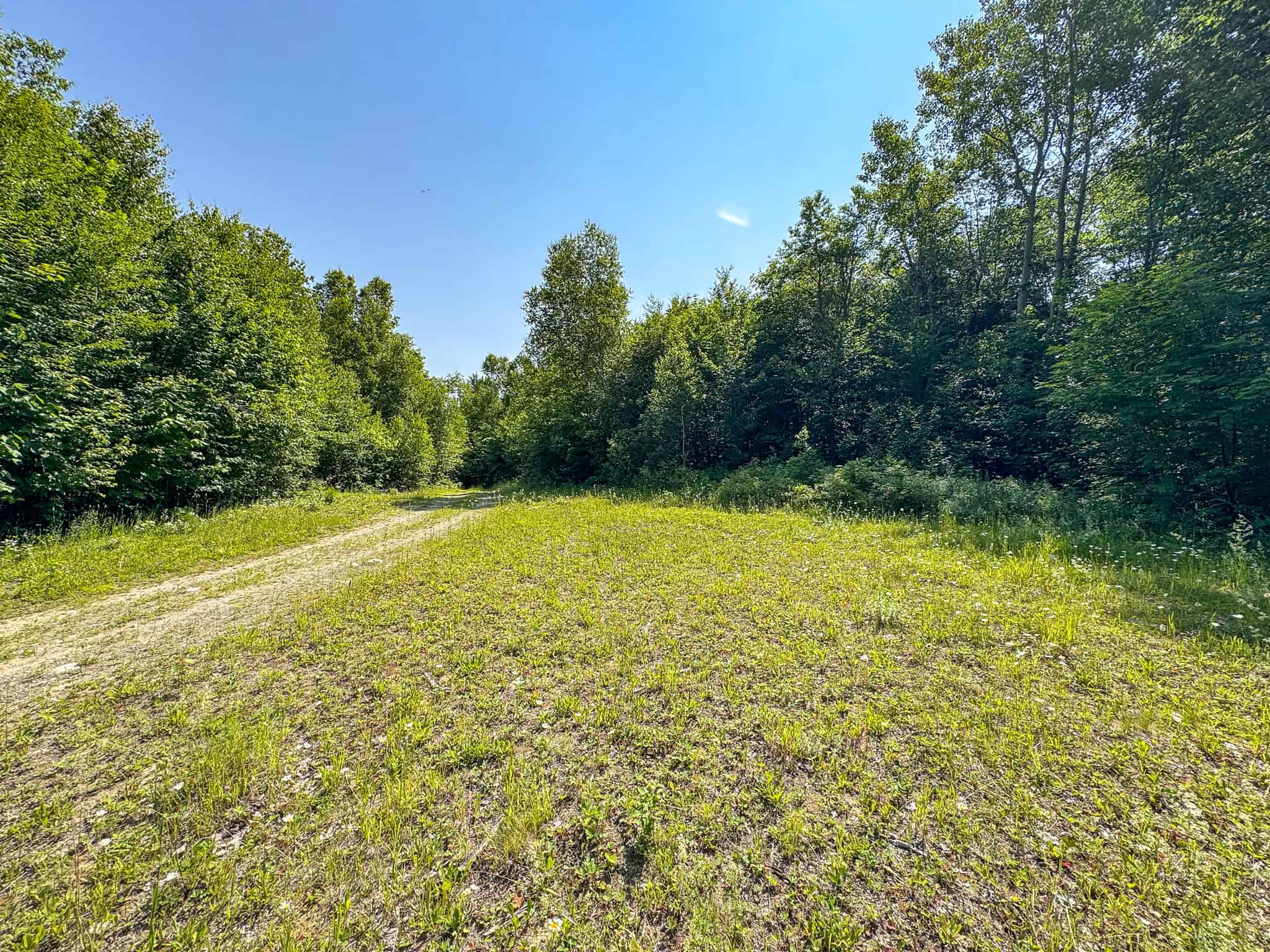 80 Acres of Maine Land Bordering 900 Acres of Public Land