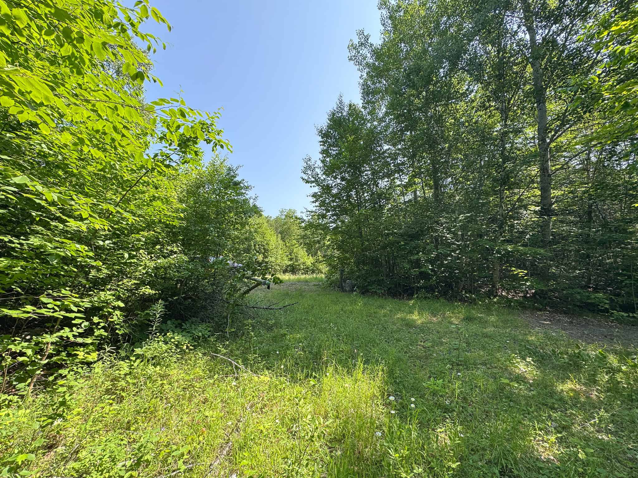 80 Acres of Maine Land Bordering 900 Acres of Public Land