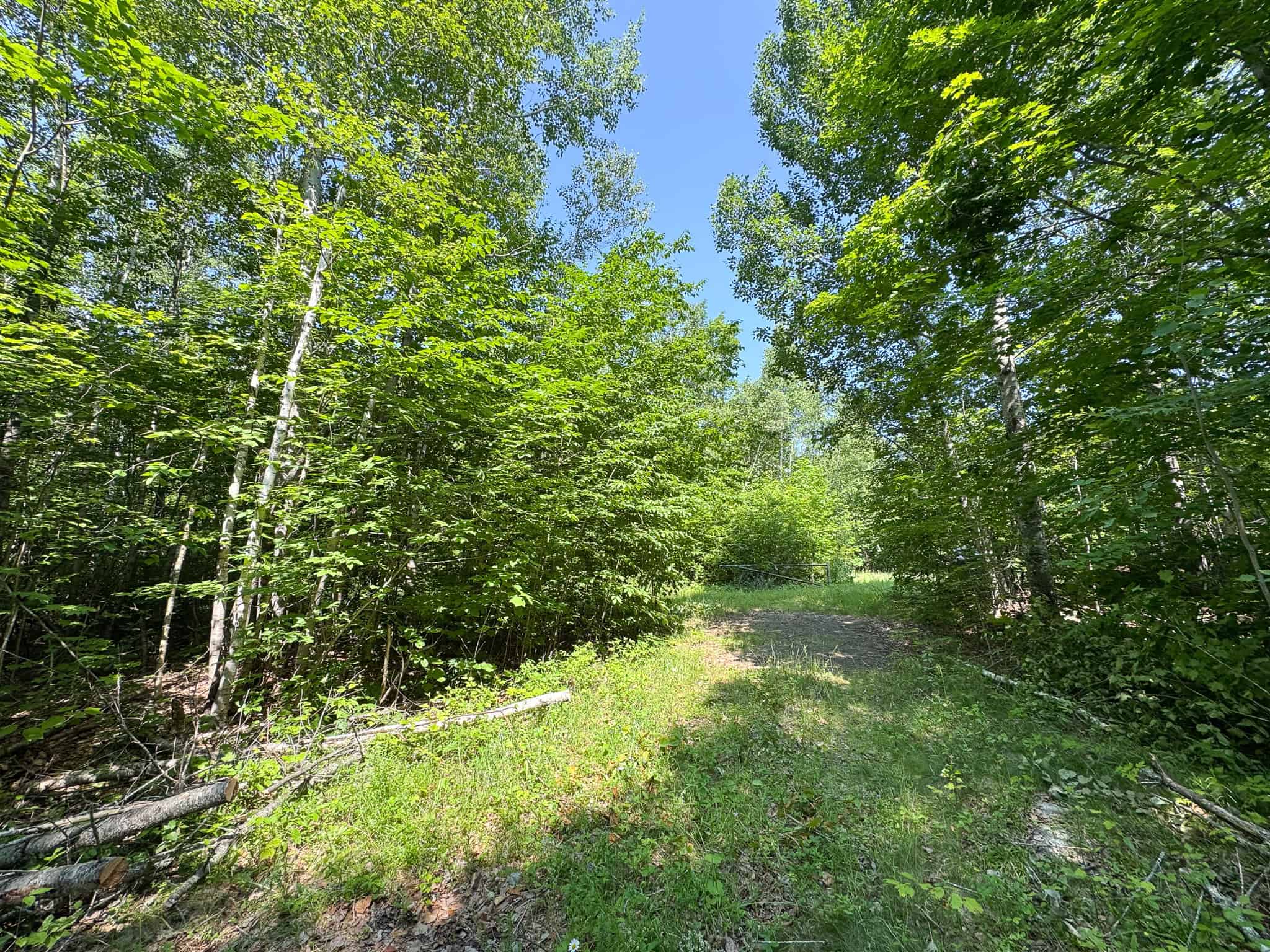 80 Acres of Maine Land Bordering 900 Acres of Public Land