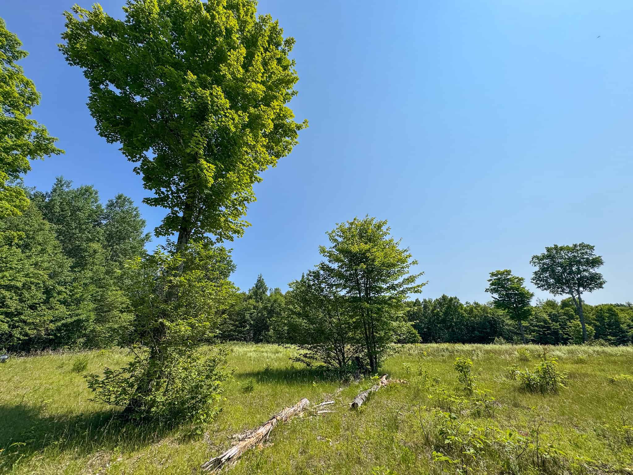 80 Acres of Maine Land Bordering 900 Acres of Public Land