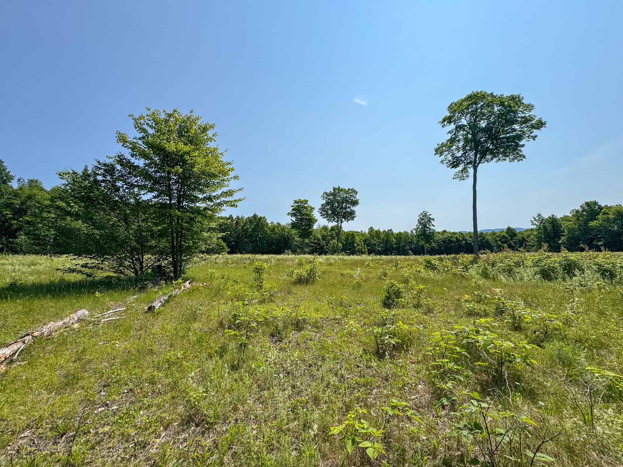 80 Acres of Maine Land Bordering 900 Acres of Public Land