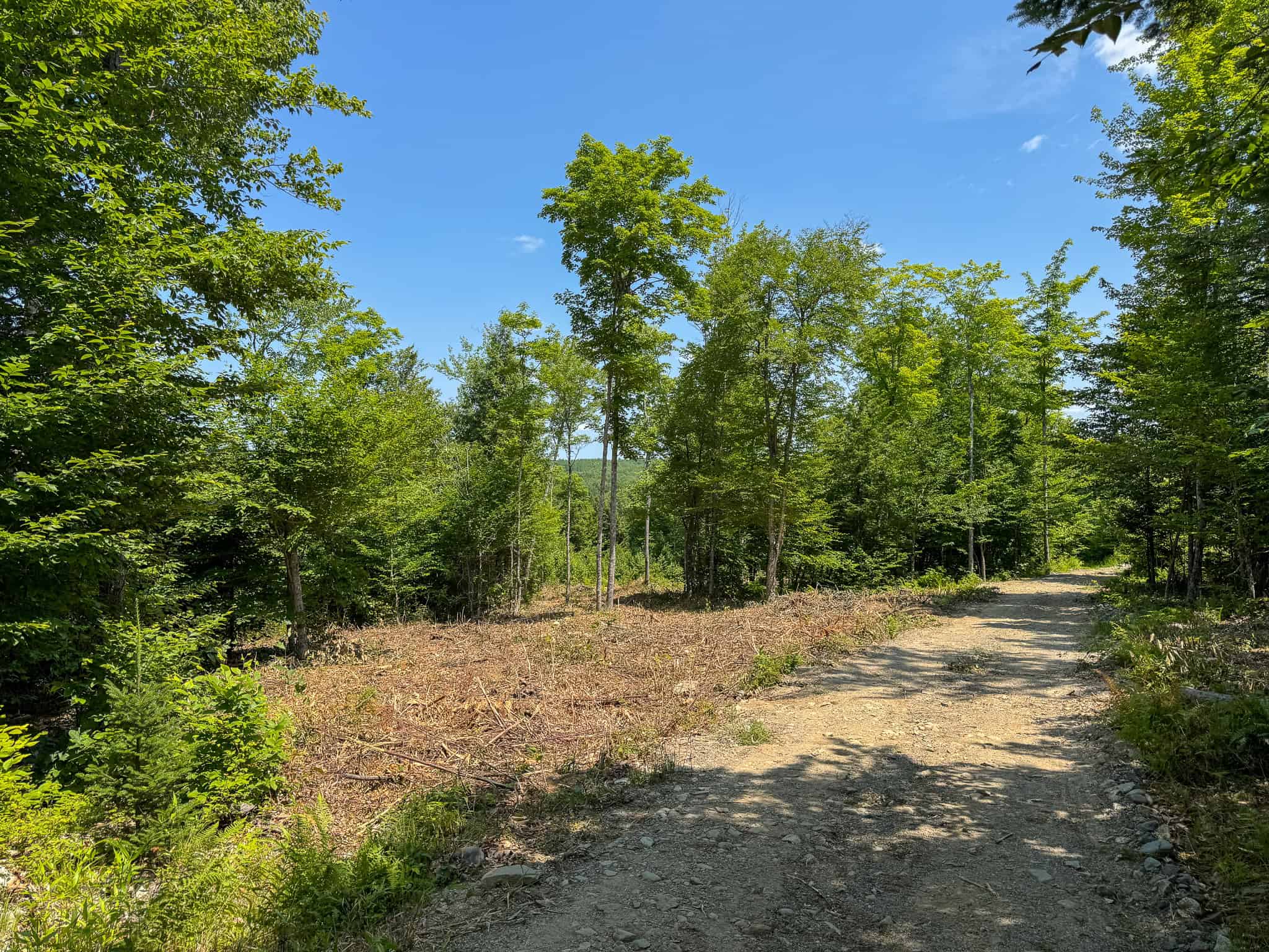 34 Acre Riverfront Parcel – Mattawamkeag, Maine