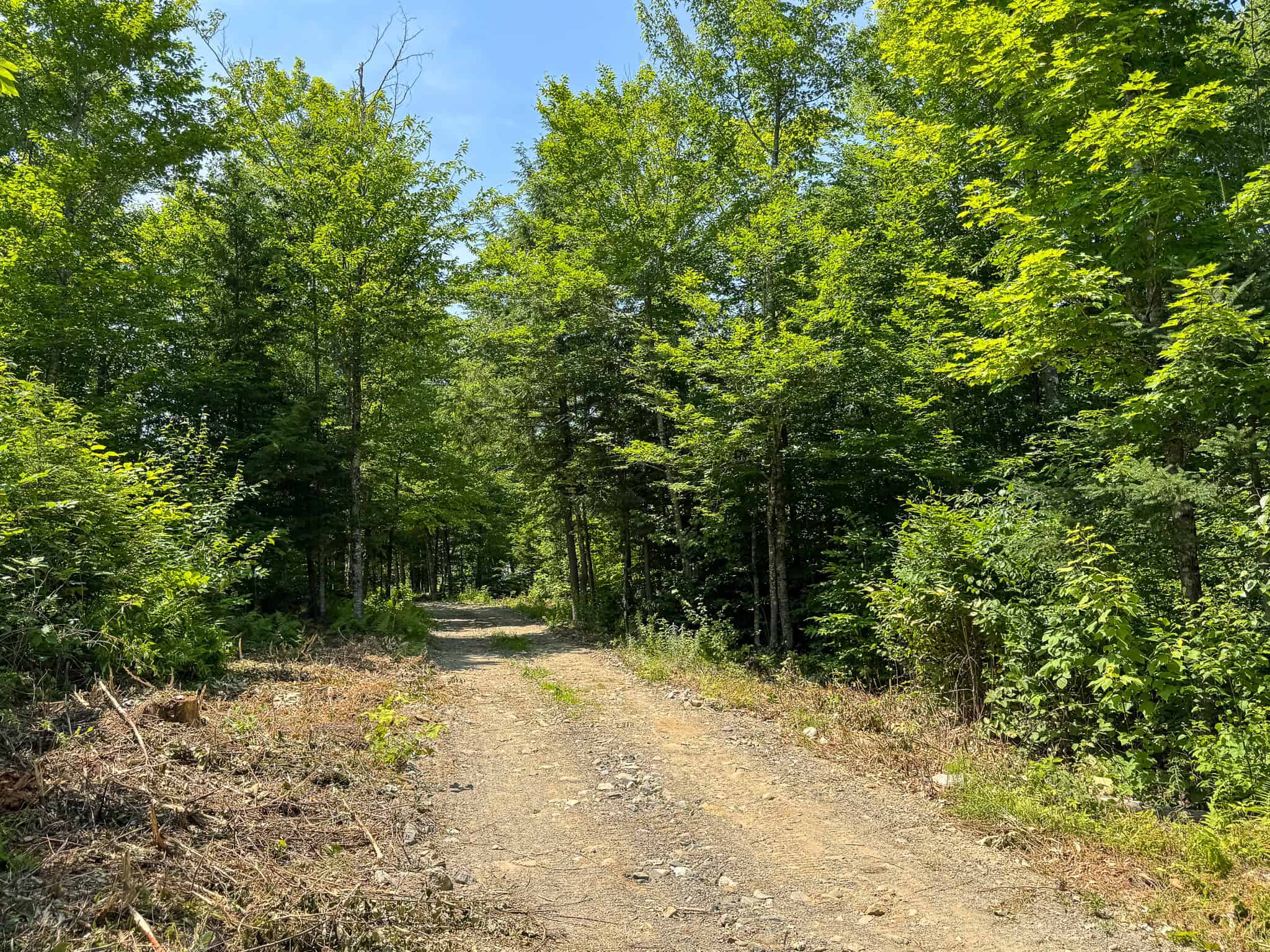 34 Acre Riverfront Parcel – Mattawamkeag, Maine