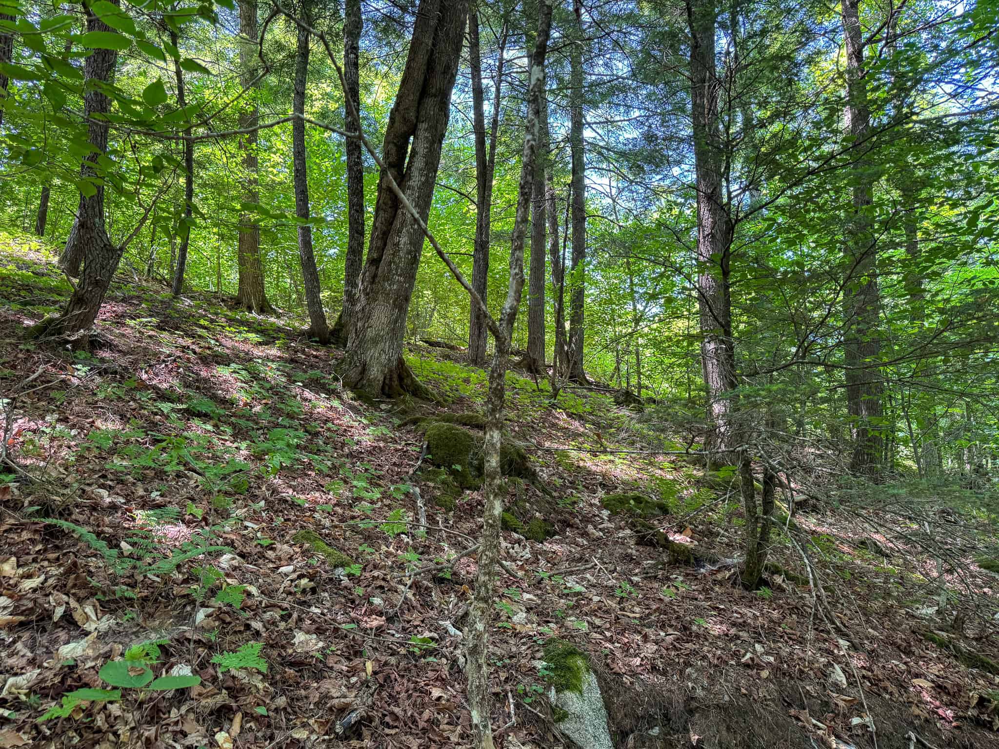 34 Acre Riverfront Parcel – Mattawamkeag, Maine
