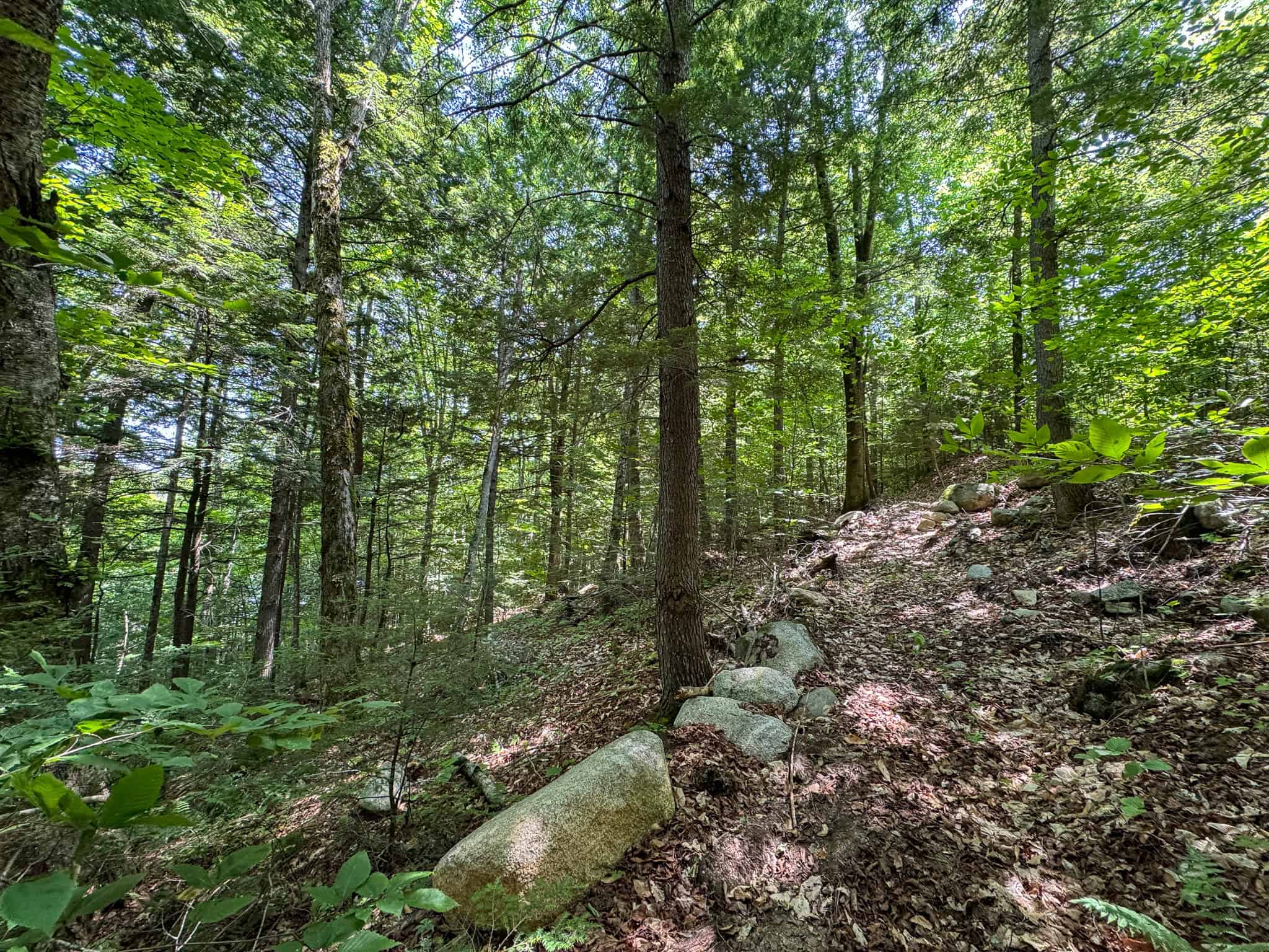 34 Acre Riverfront Parcel – Mattawamkeag, Maine