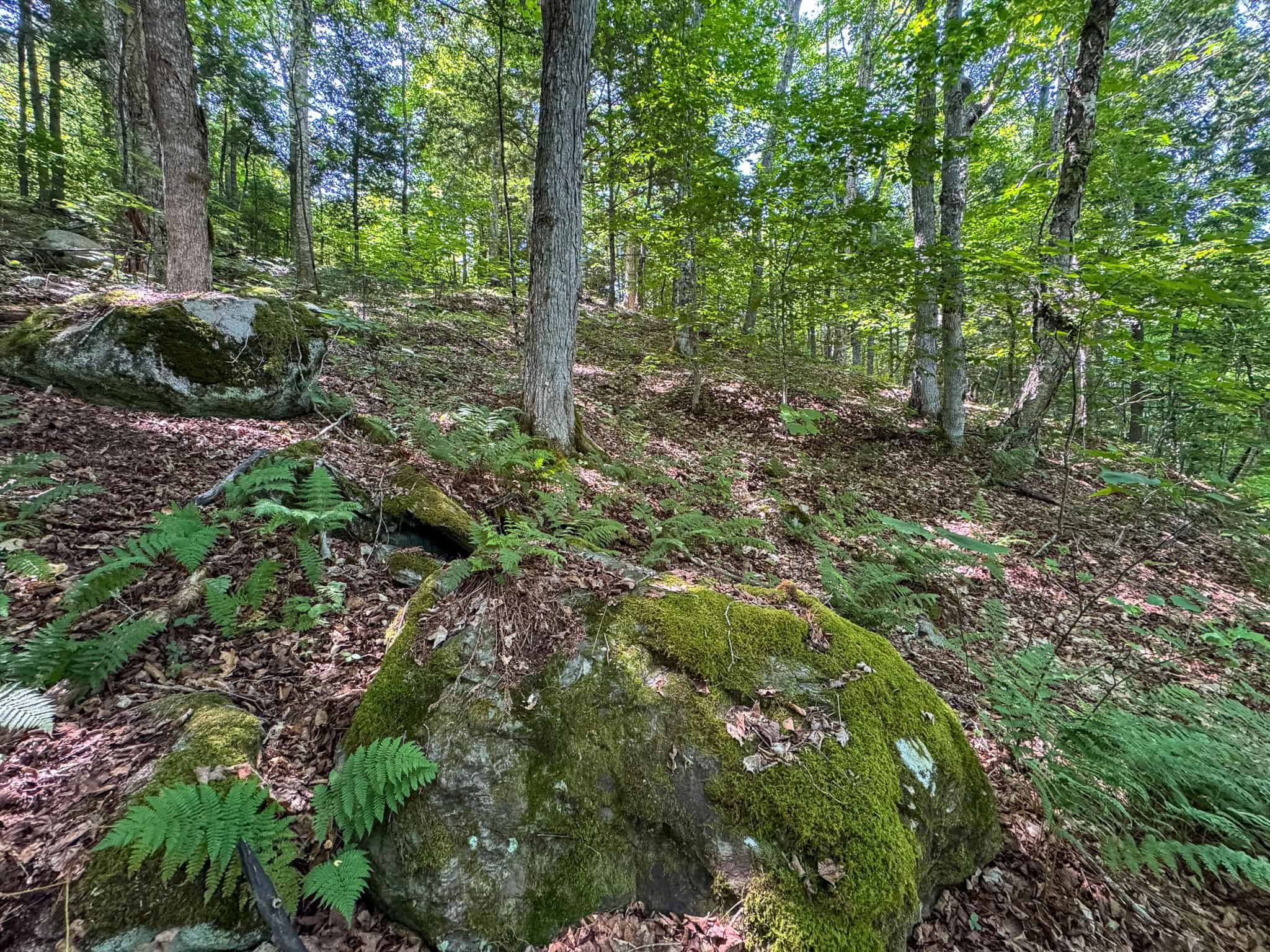 34 Acre Riverfront Parcel – Mattawamkeag, Maine