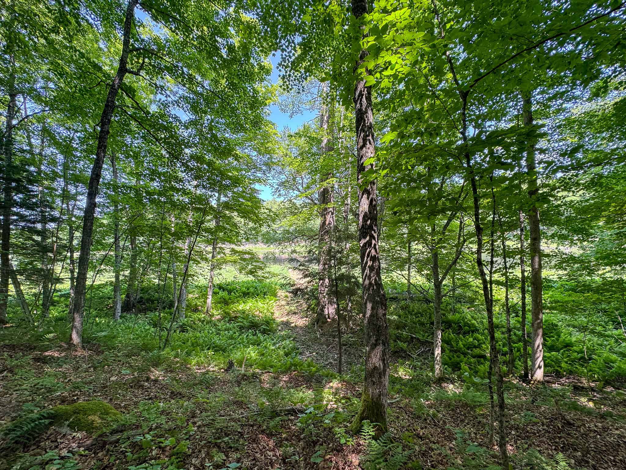 34 Acre Riverfront Parcel – Mattawamkeag, Maine