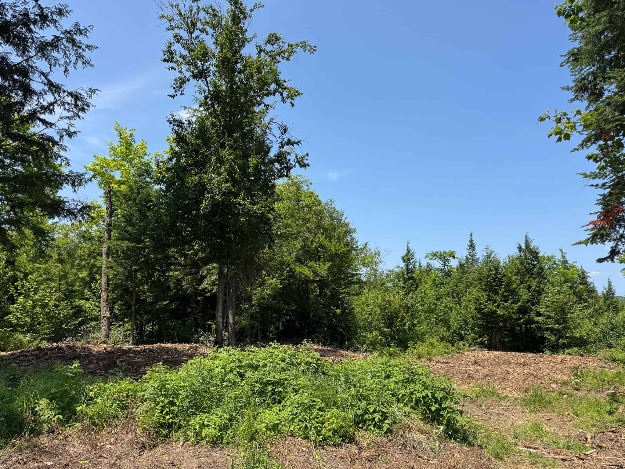 34 Acre Riverfront Parcel – Mattawamkeag, Maine