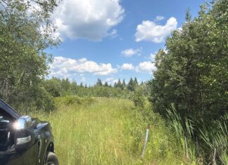 58.8 Wooded Acres with Pond – Pittsfield, Maine