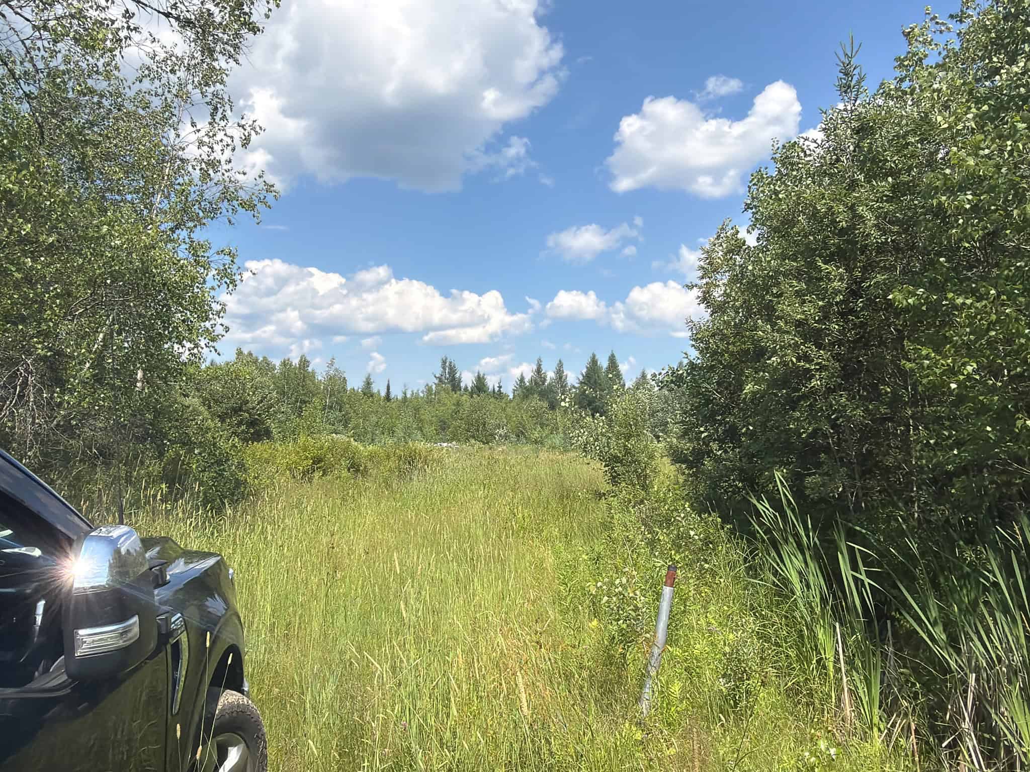 58.8 Wooded Acres with Pond – Pittsfield, Maine